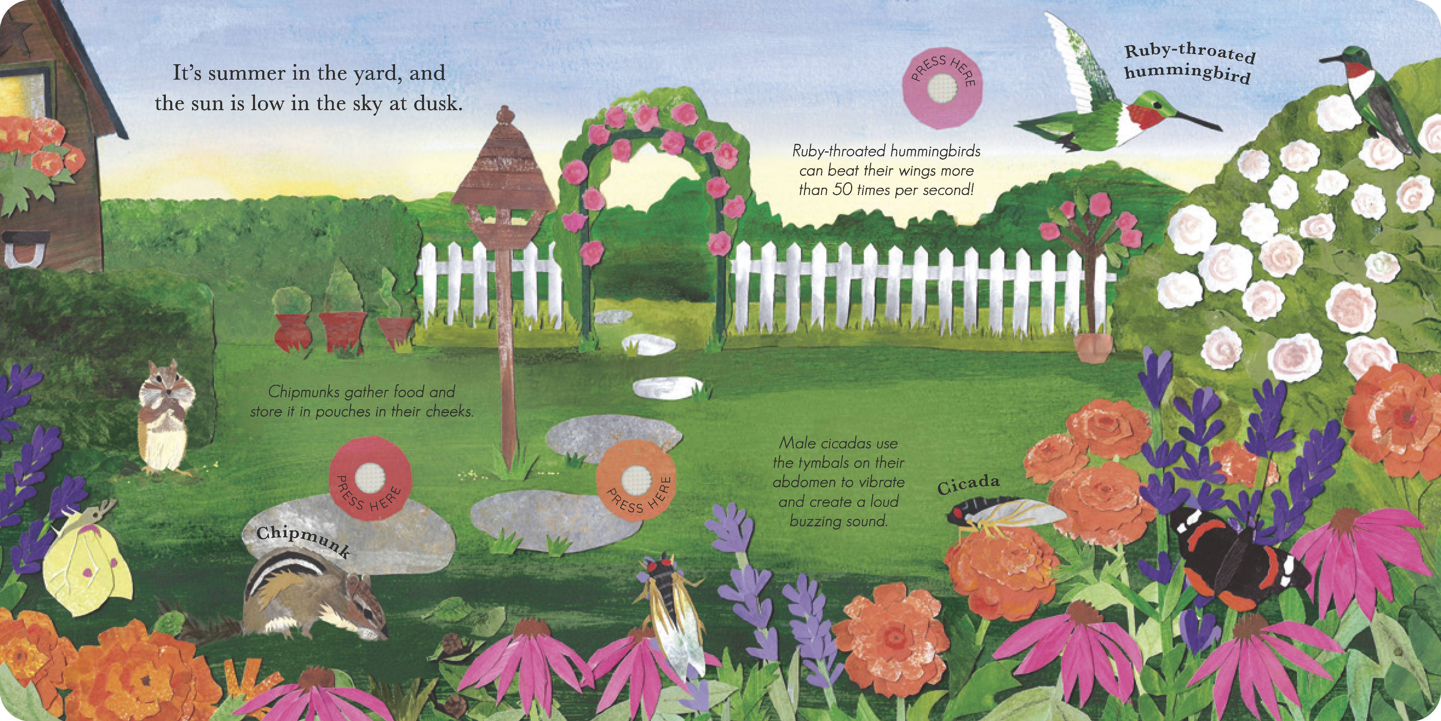 additional book photo