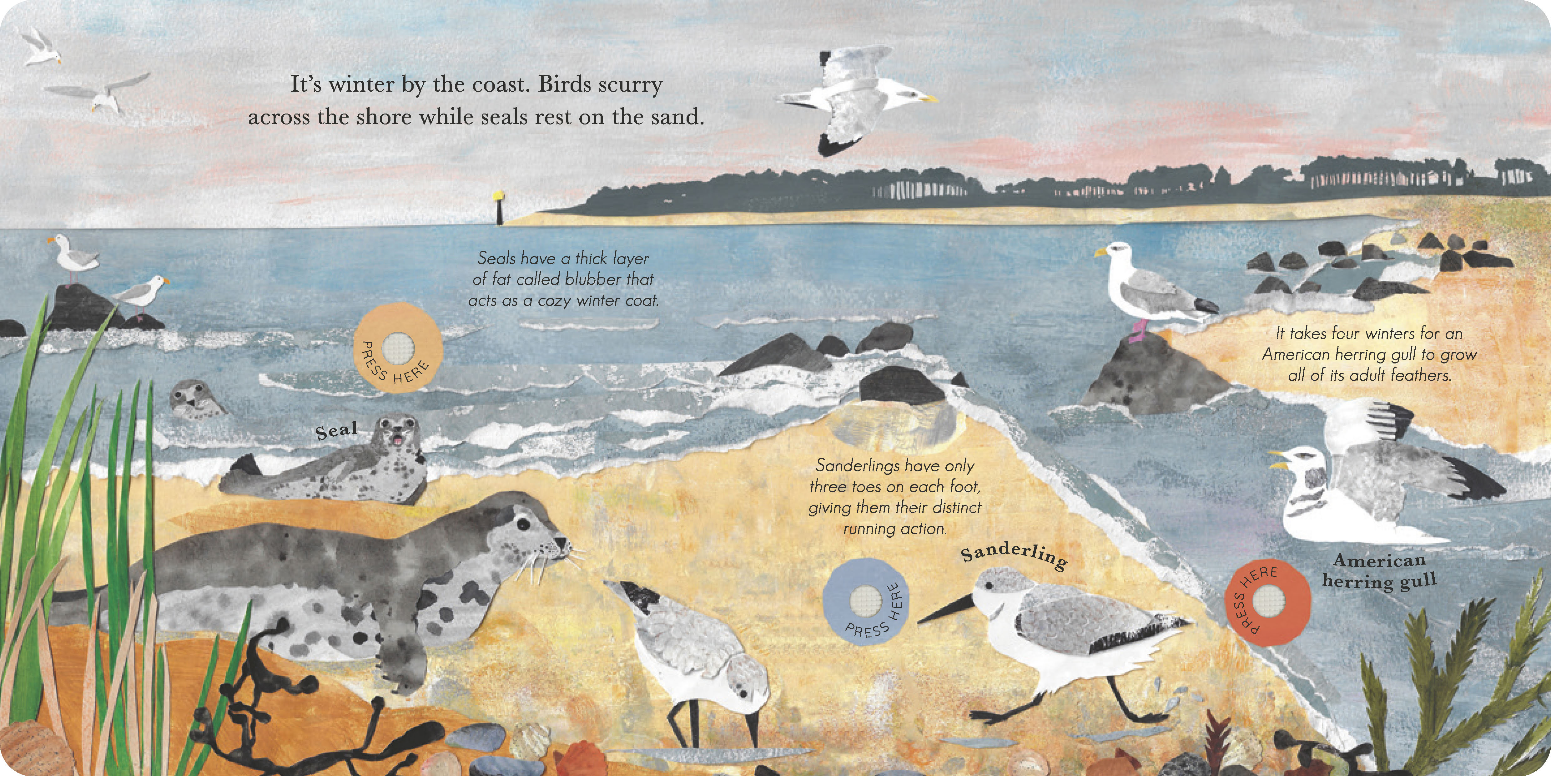 additional book photo