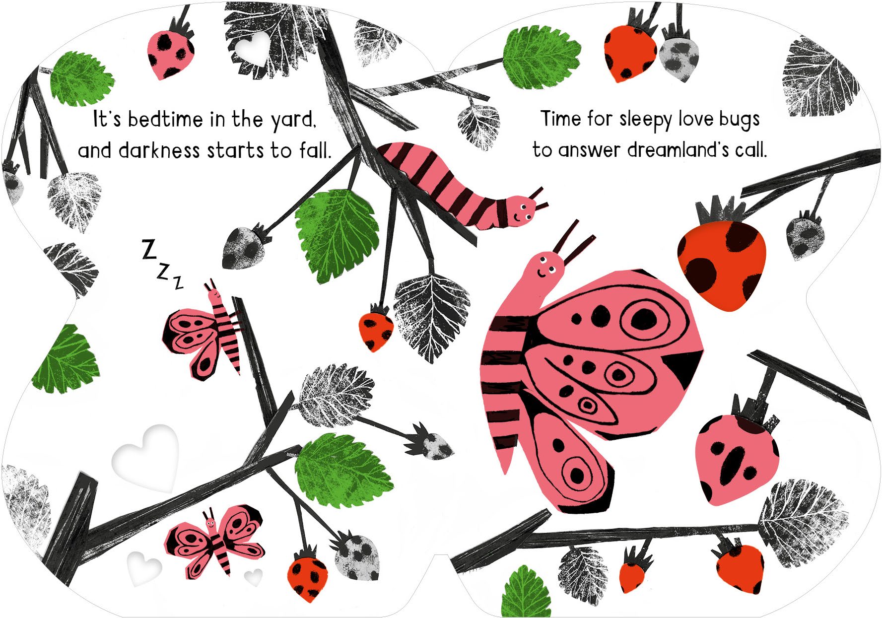 additional book photo