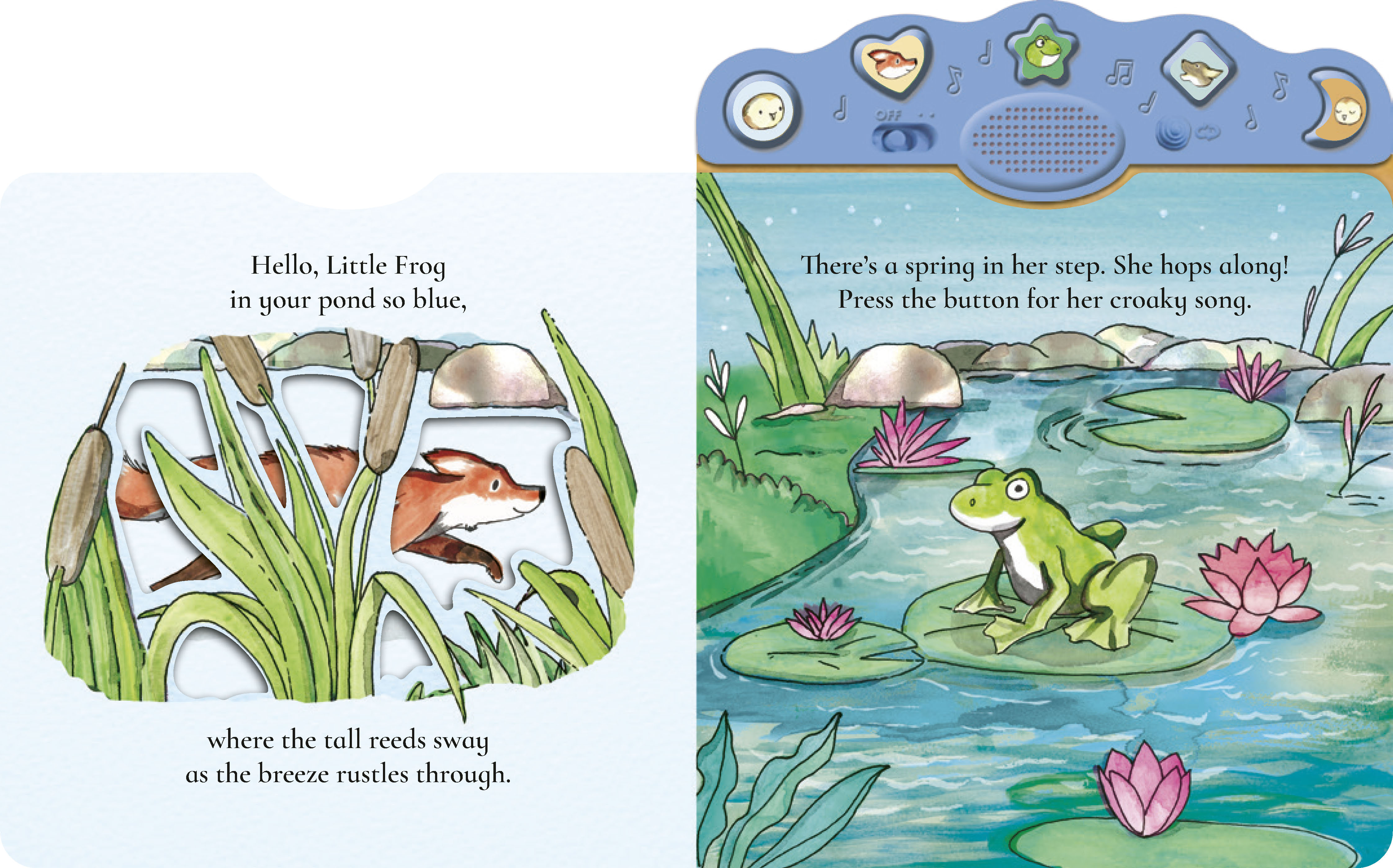 additional book photo