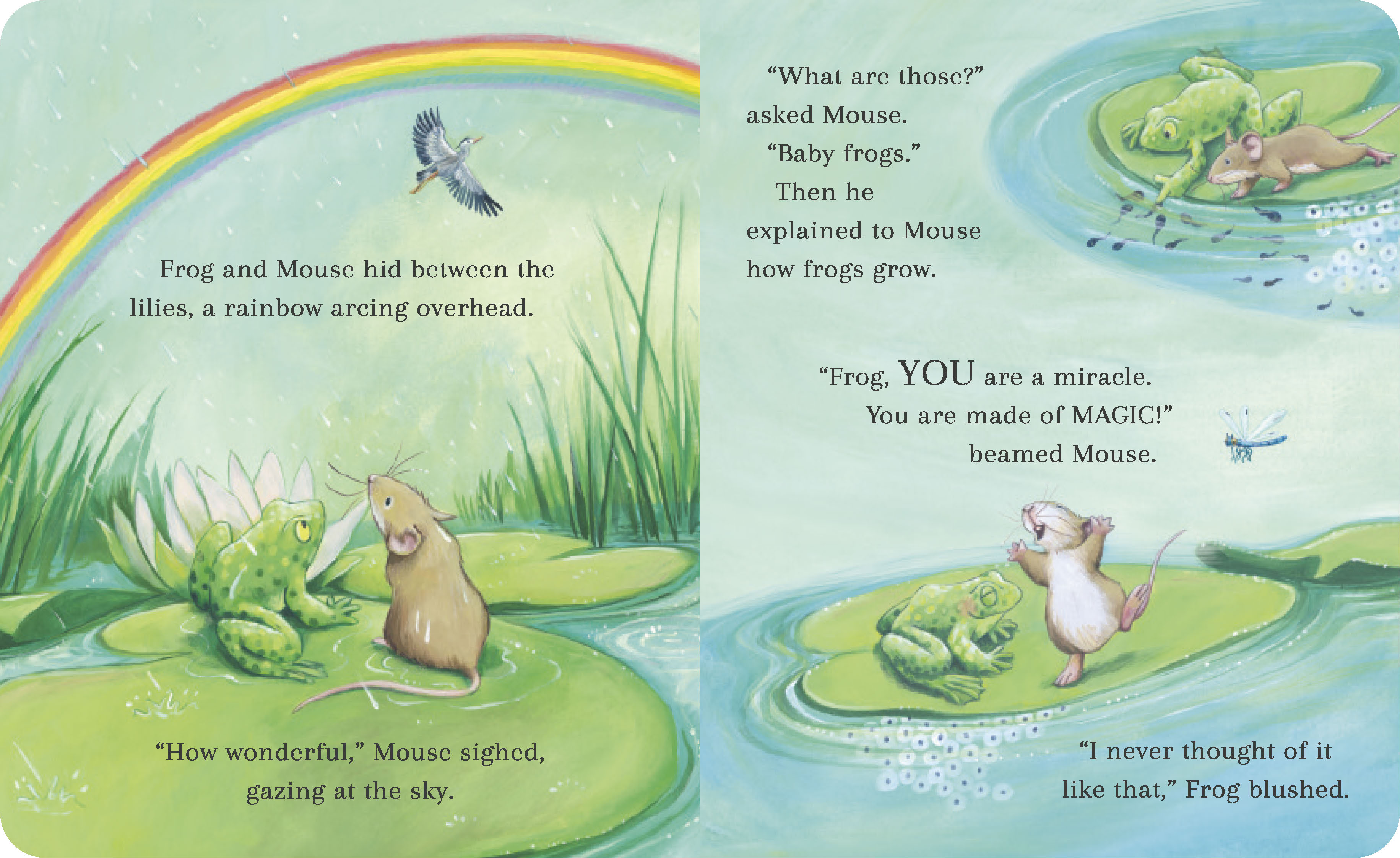 additional book photo