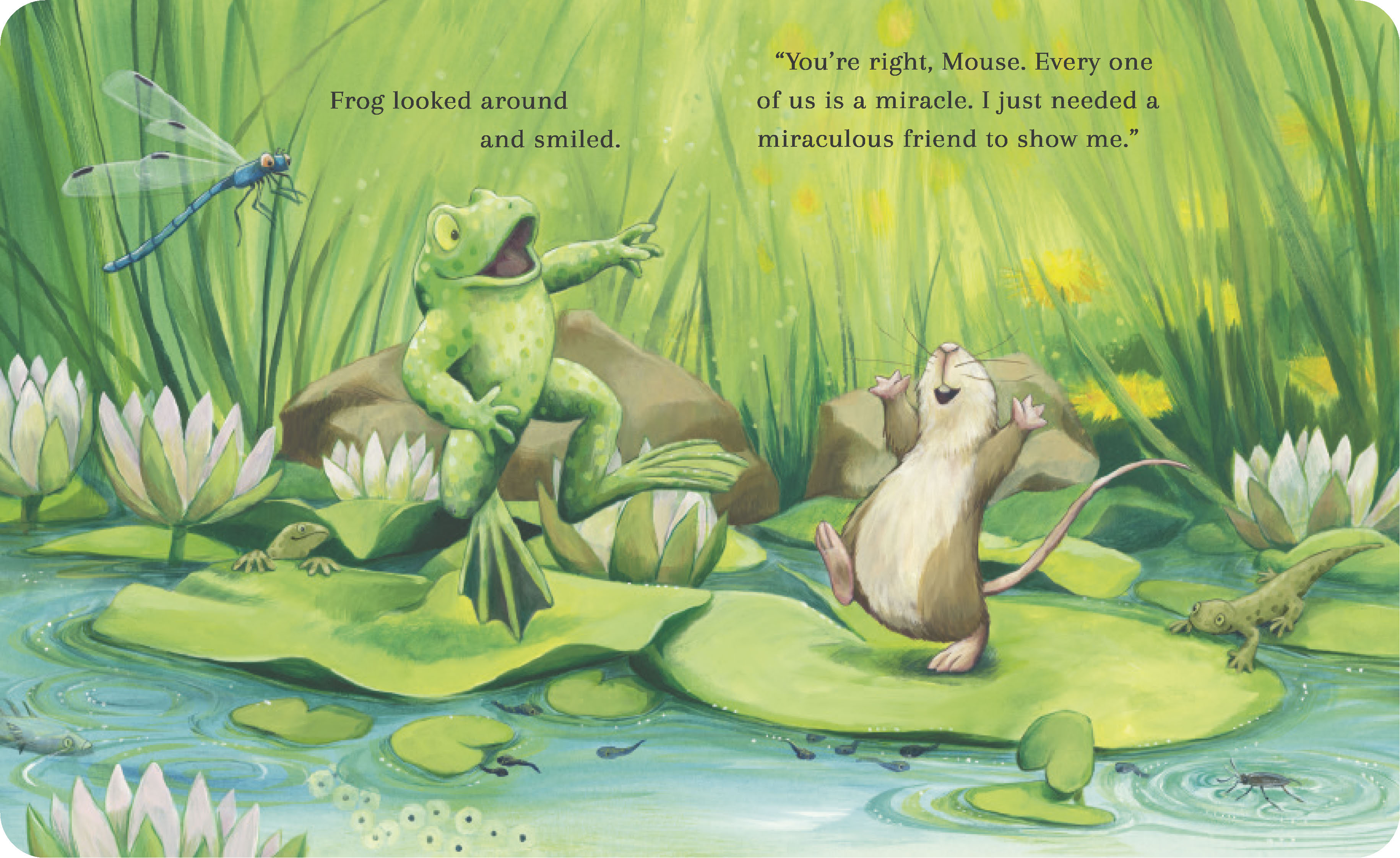 additional book photo