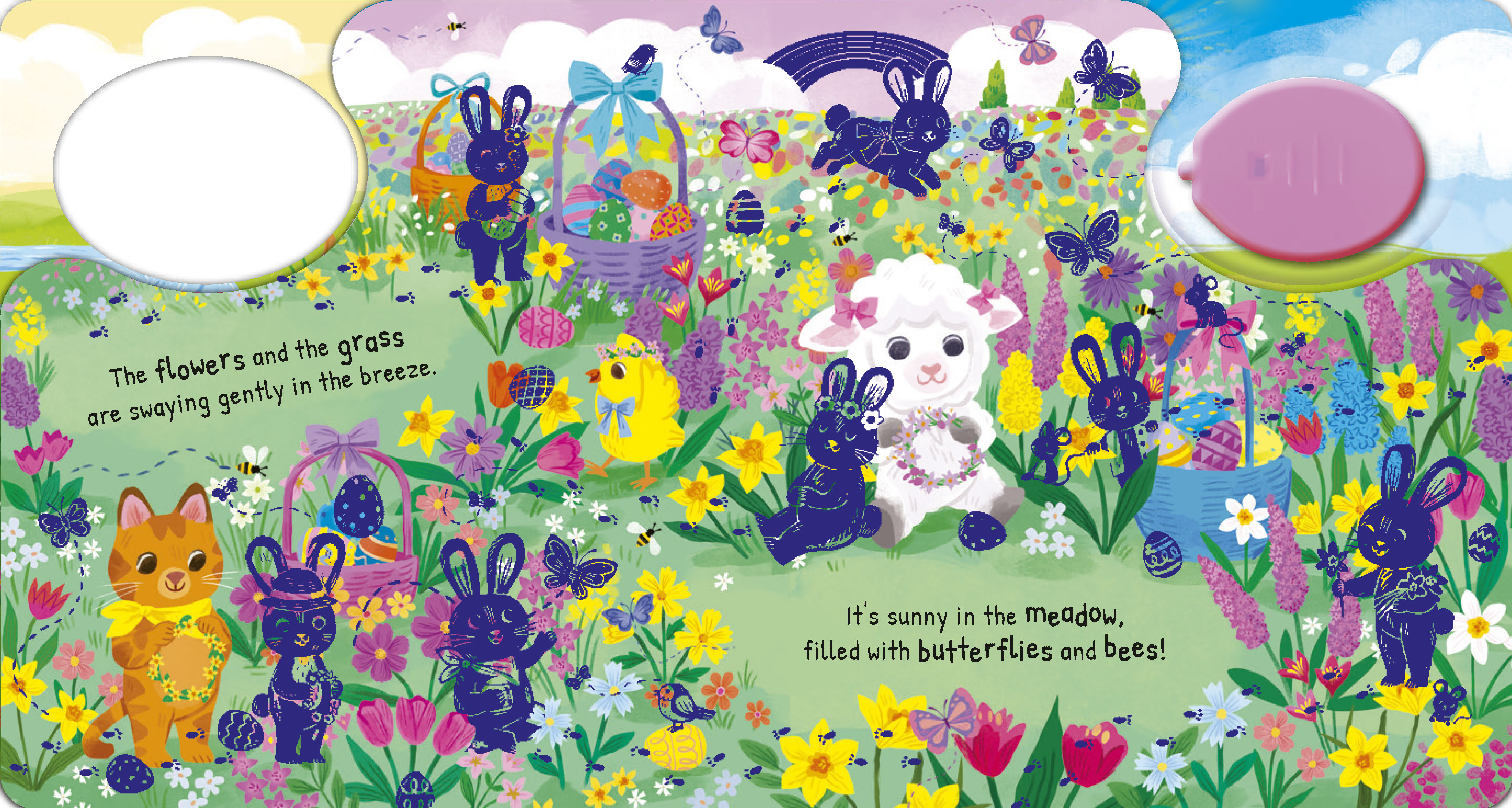 additional book photo