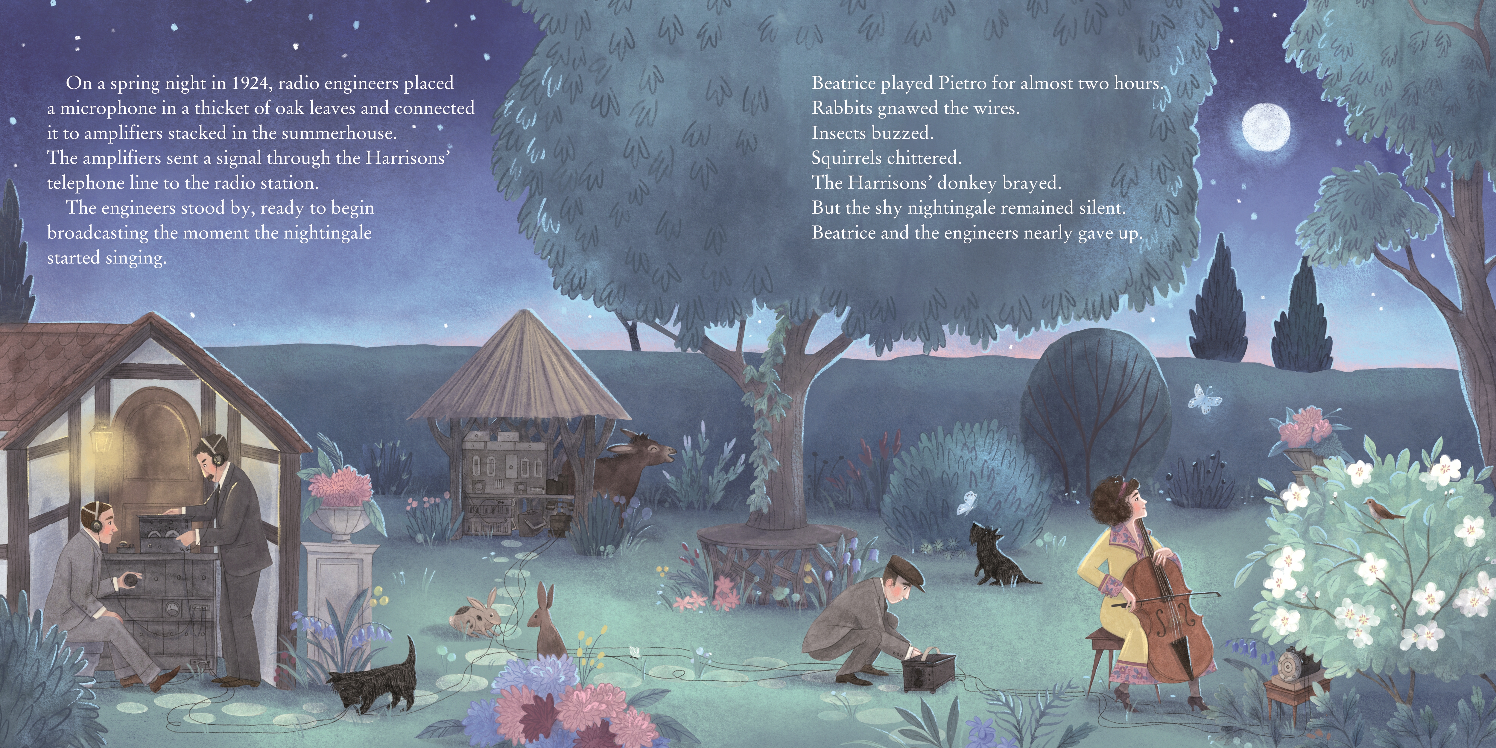 additional book photo