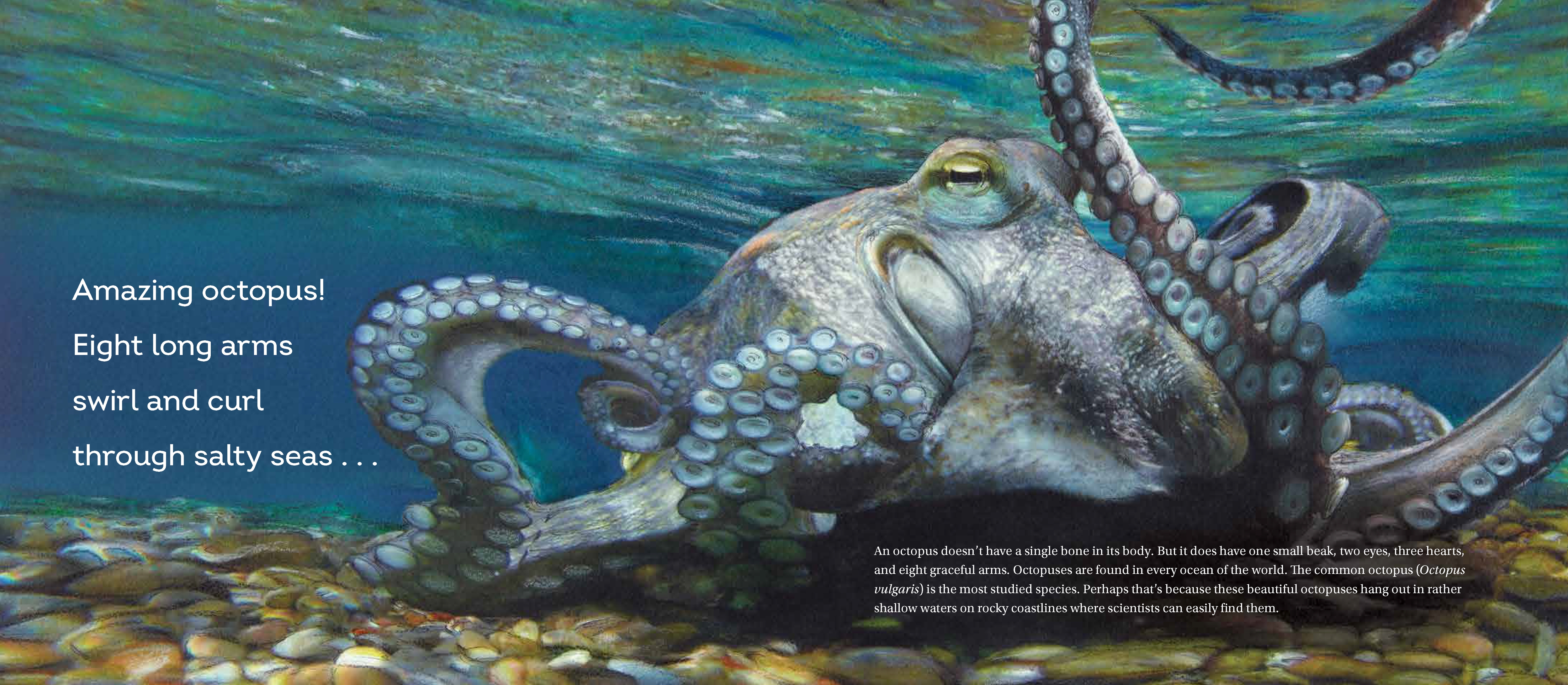 additional book photo