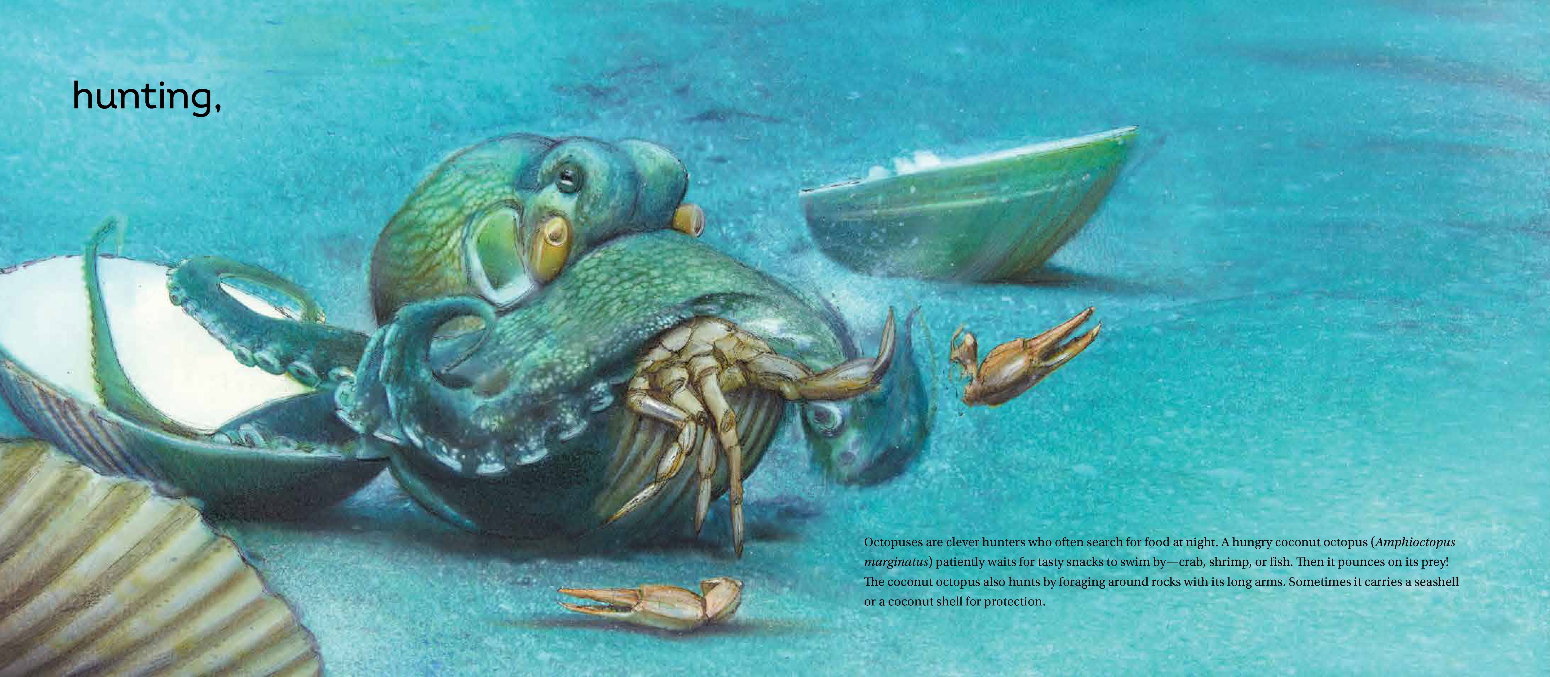 additional book photo