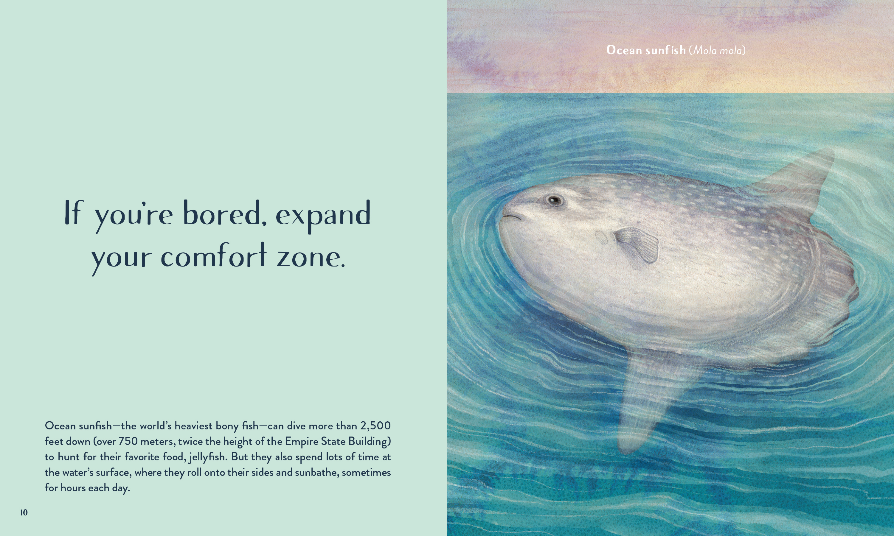 additional book photo