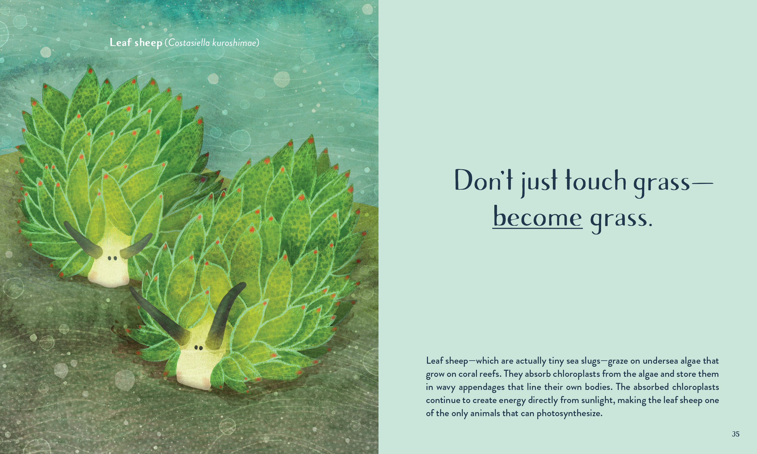 additional book photo