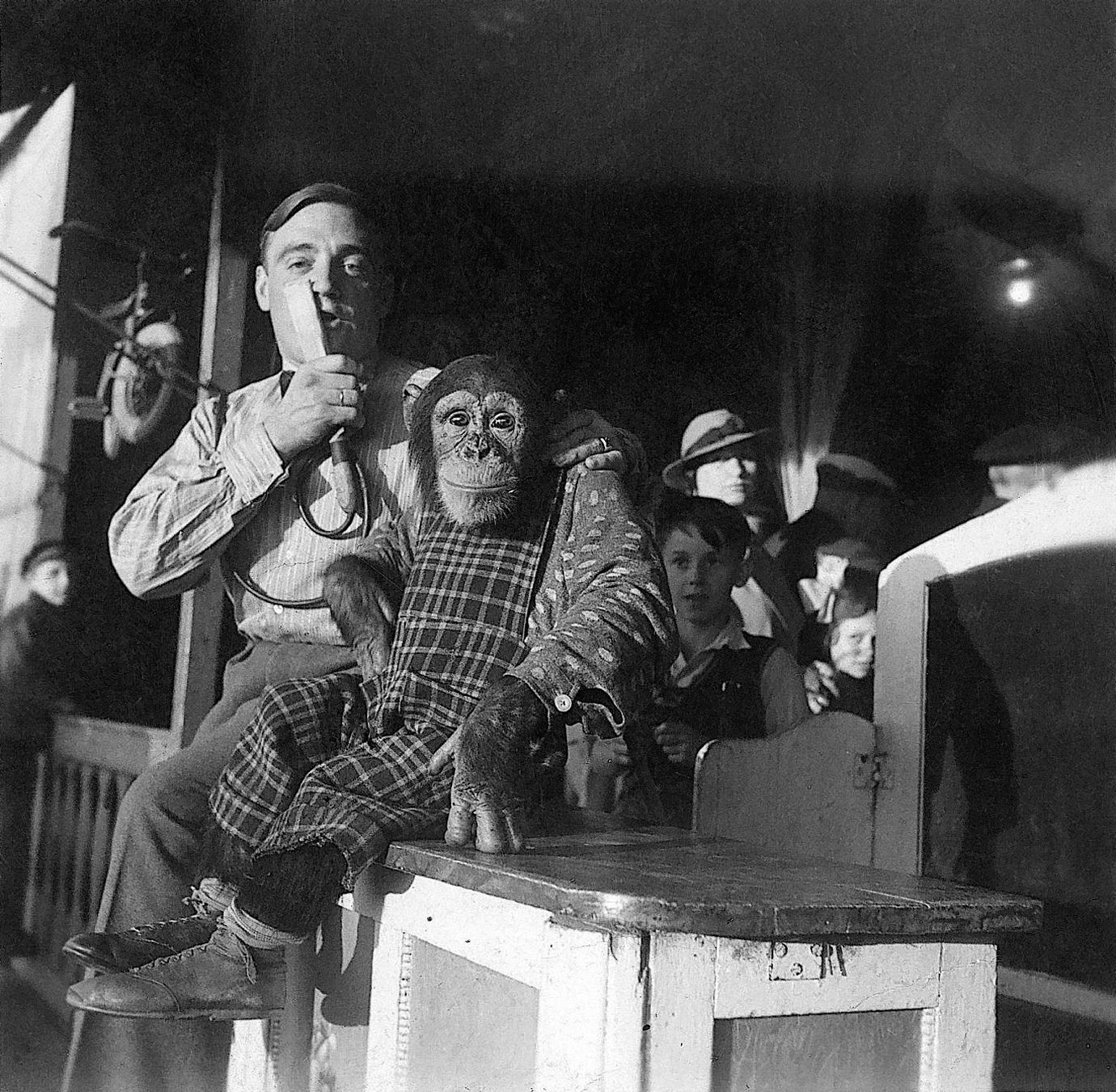 additional book photo