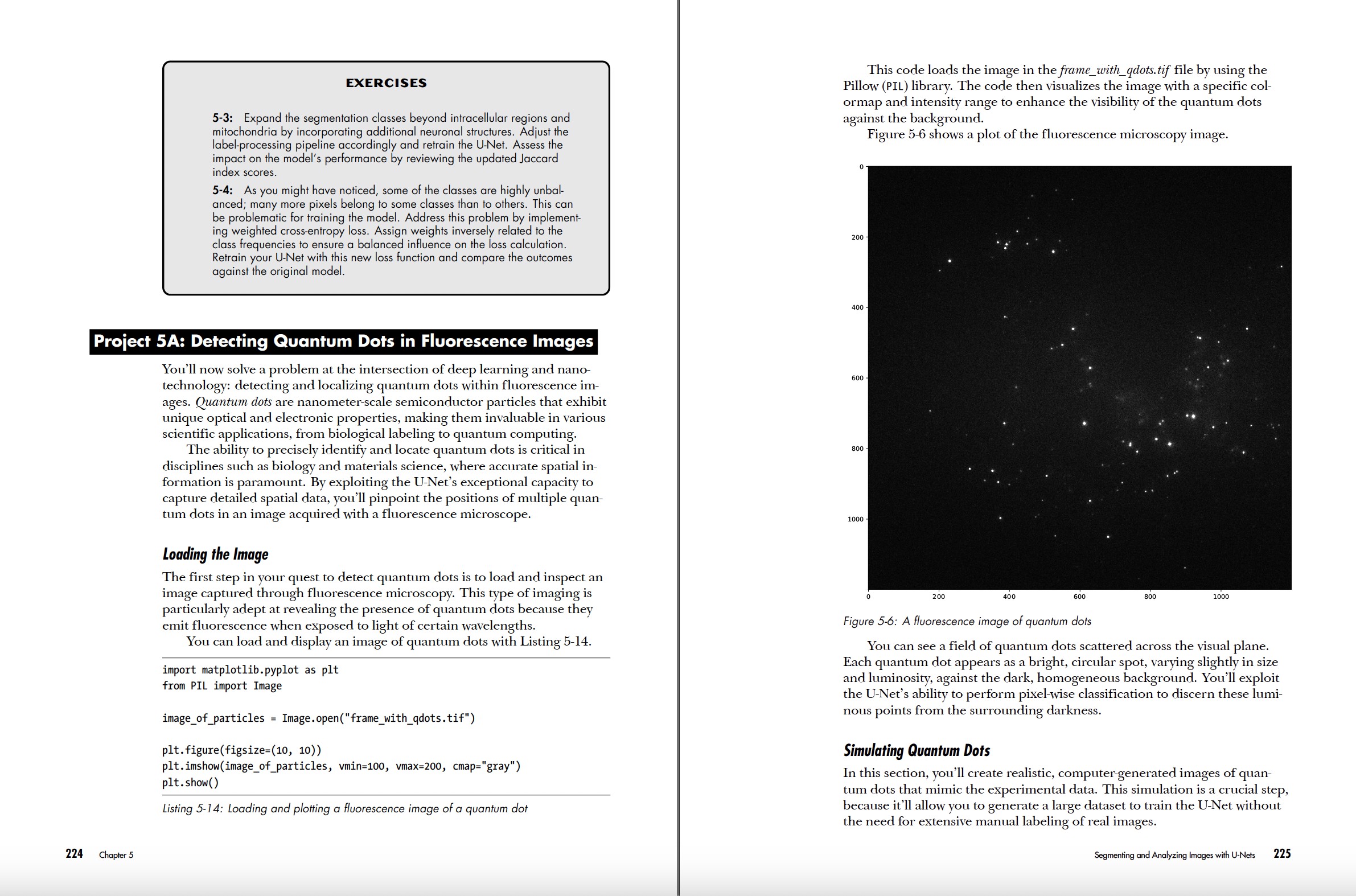 Deep Learning Crash Course pages 224-225