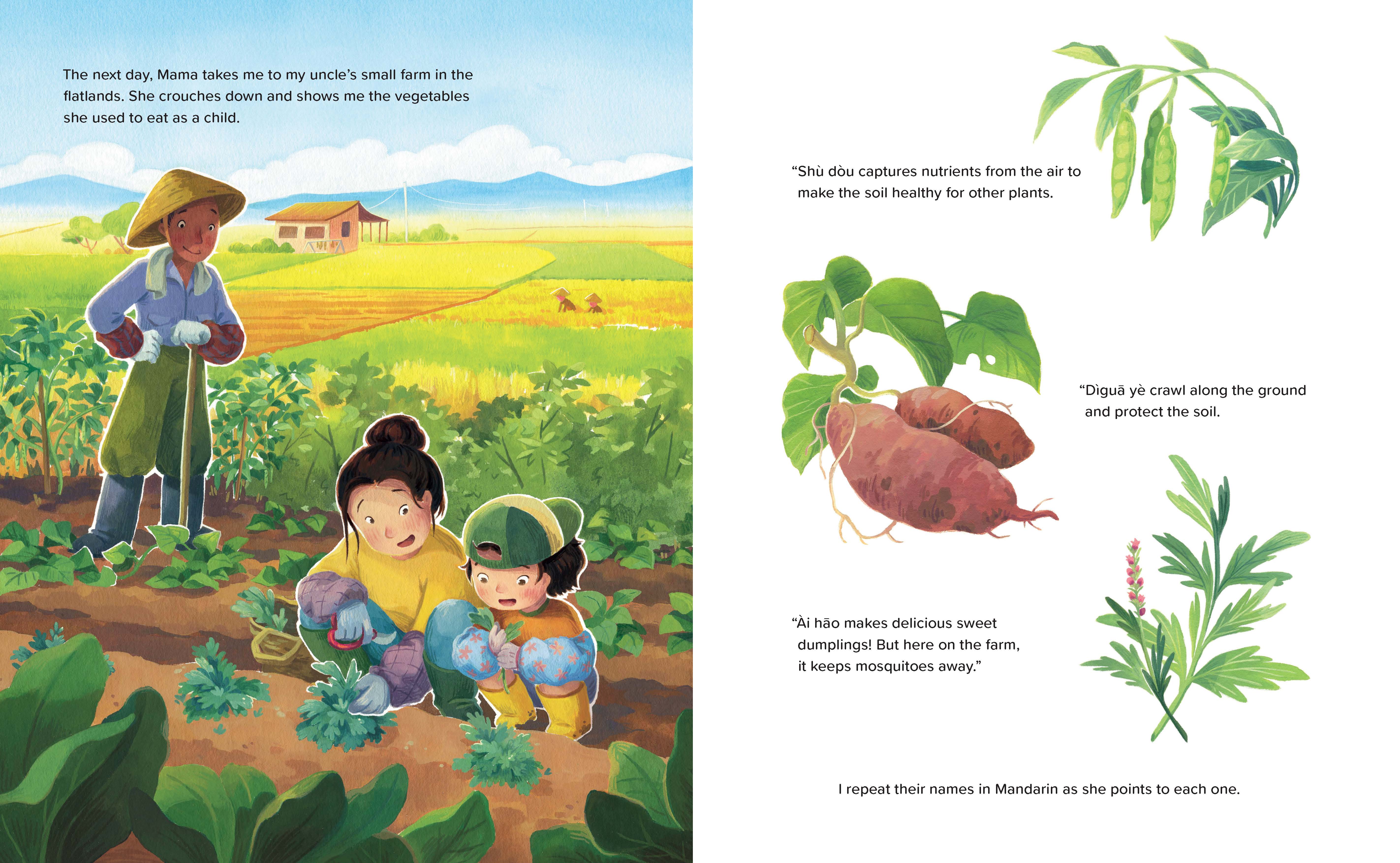 additional book photo