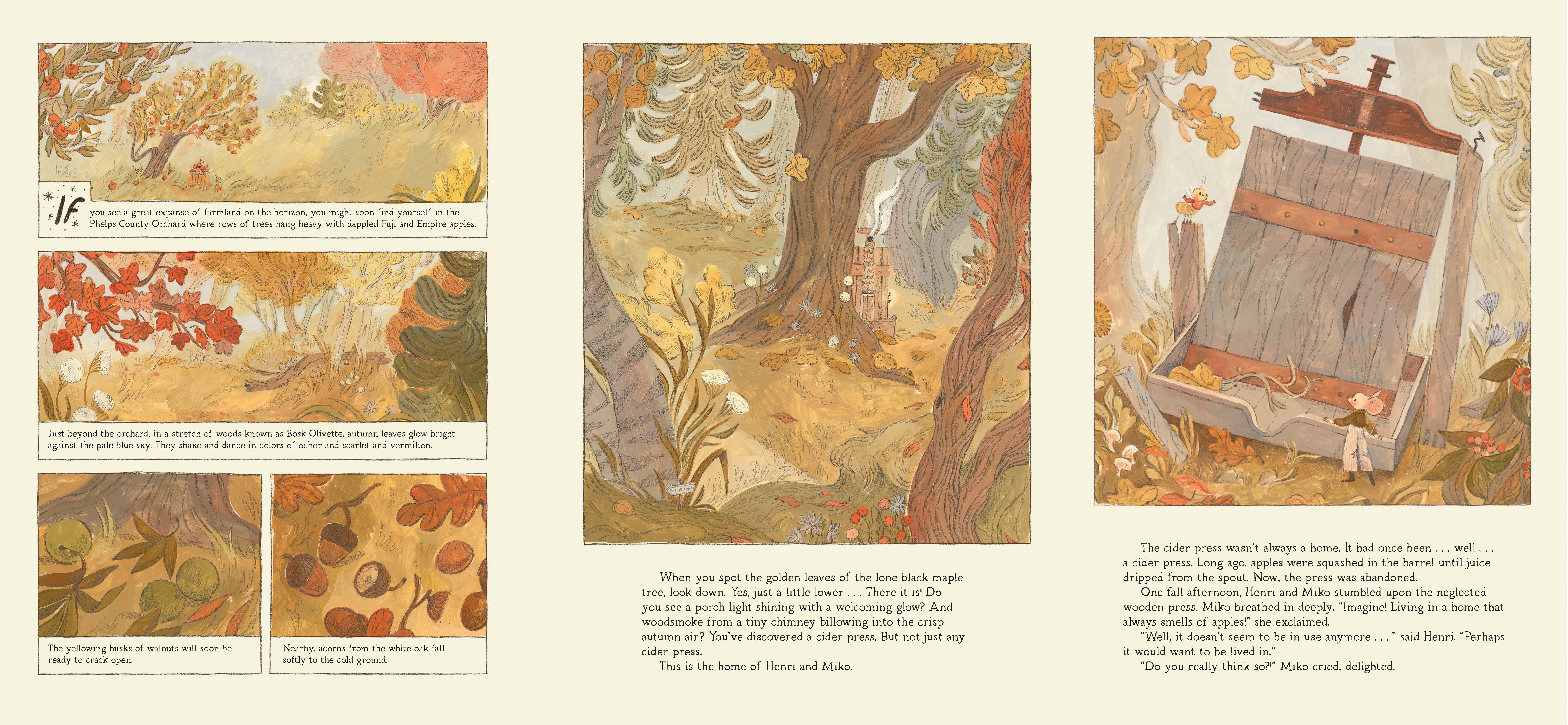 additional book photo