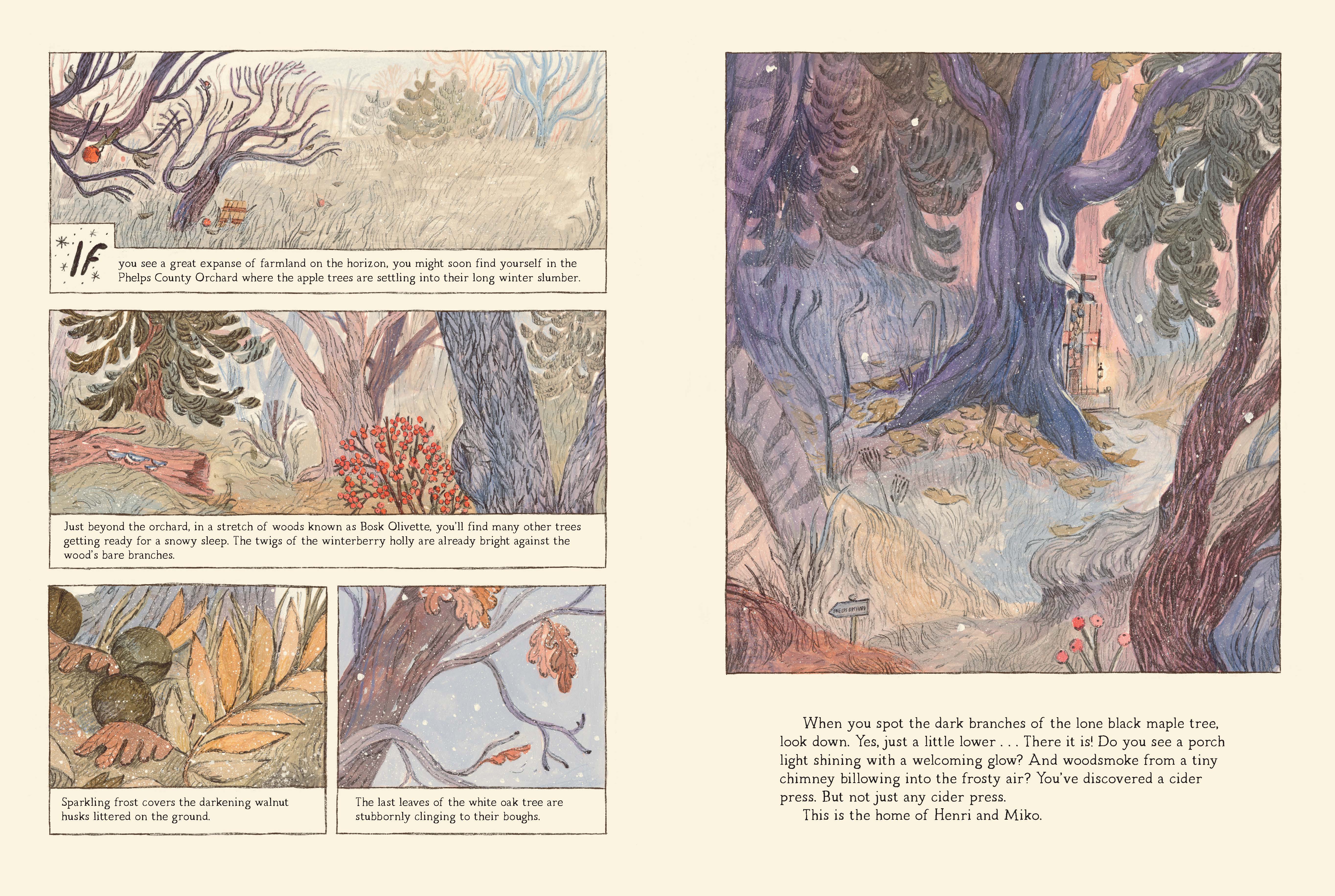 additional book photo