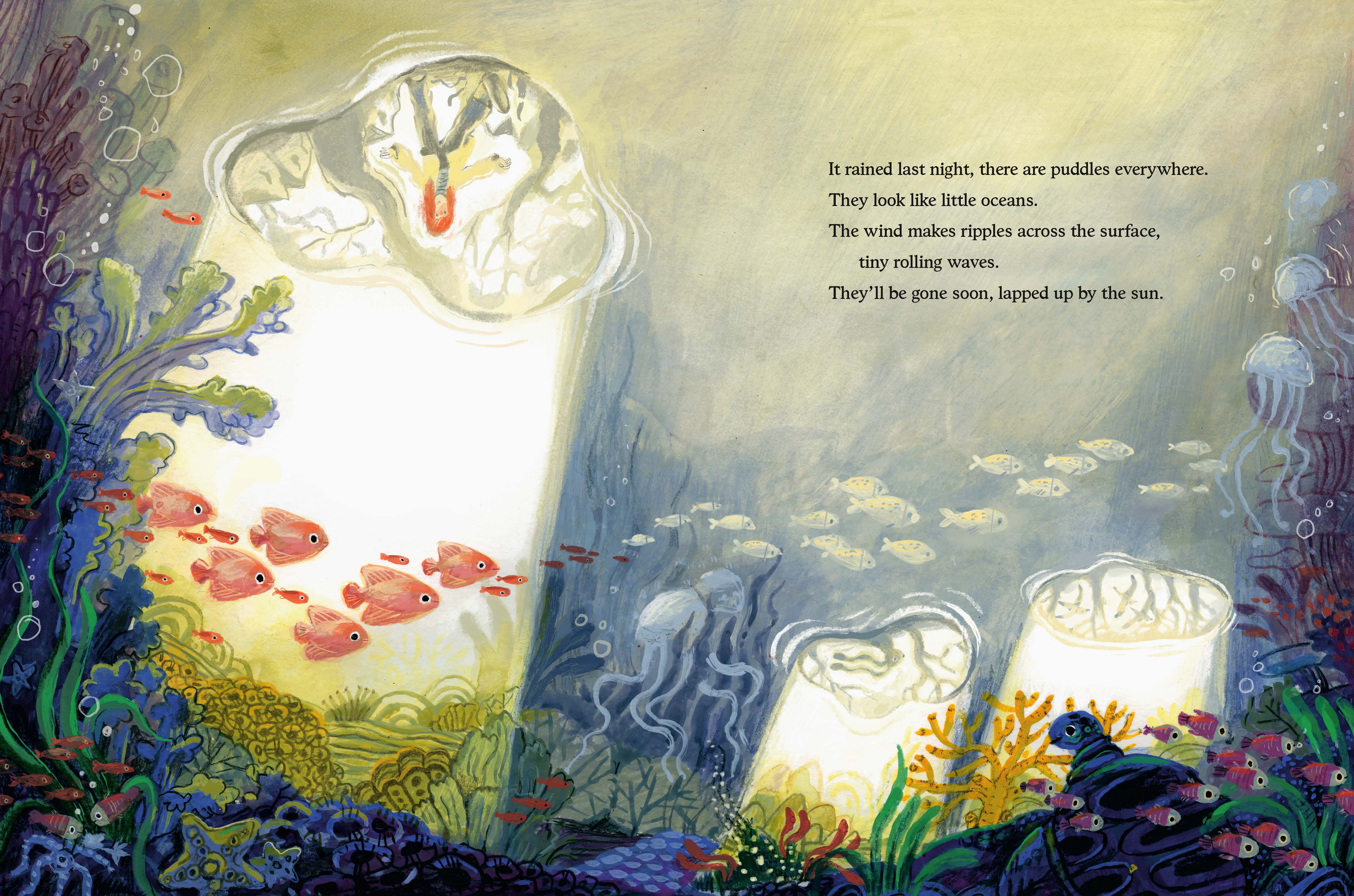 additional book photo