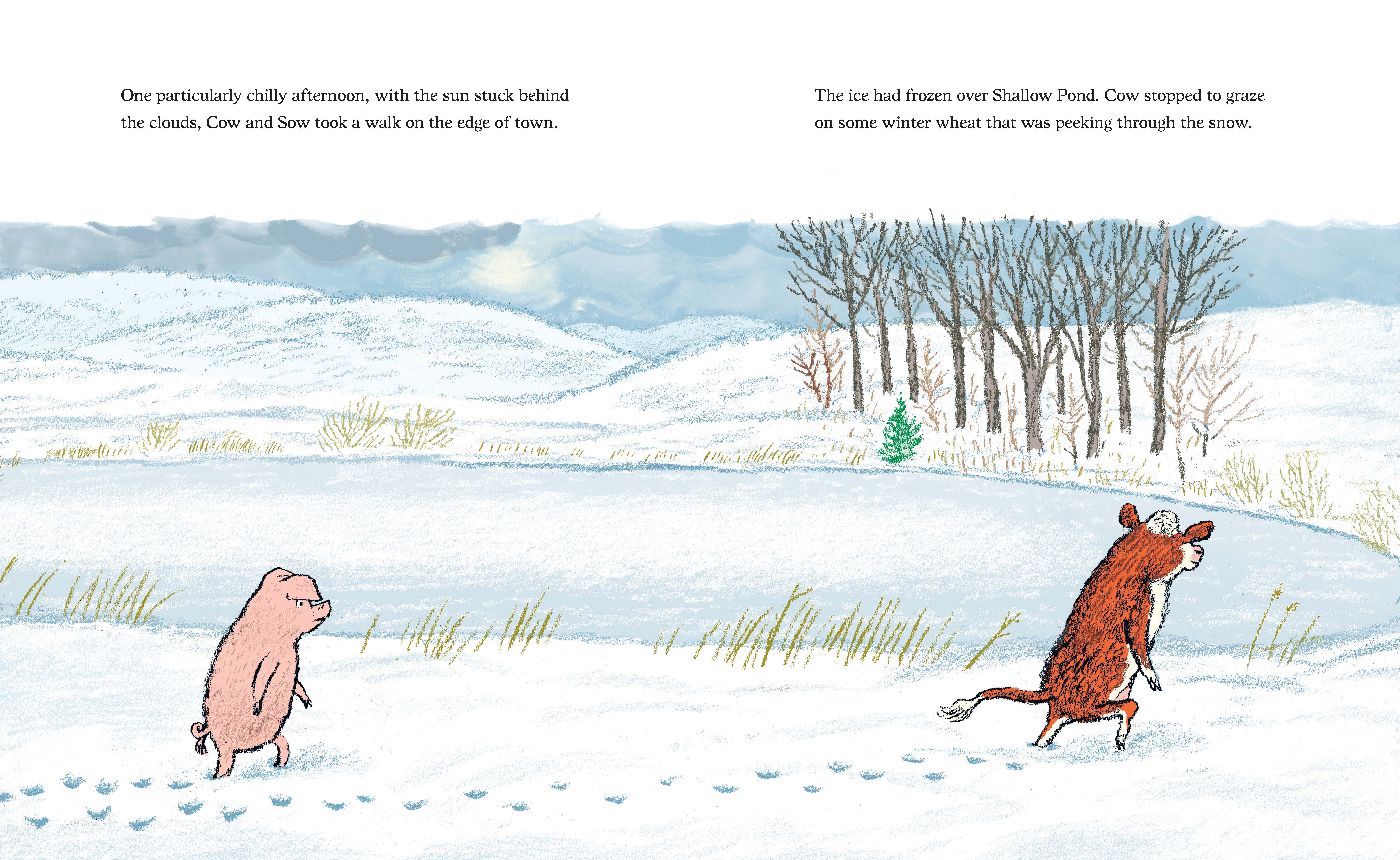 additional book photo