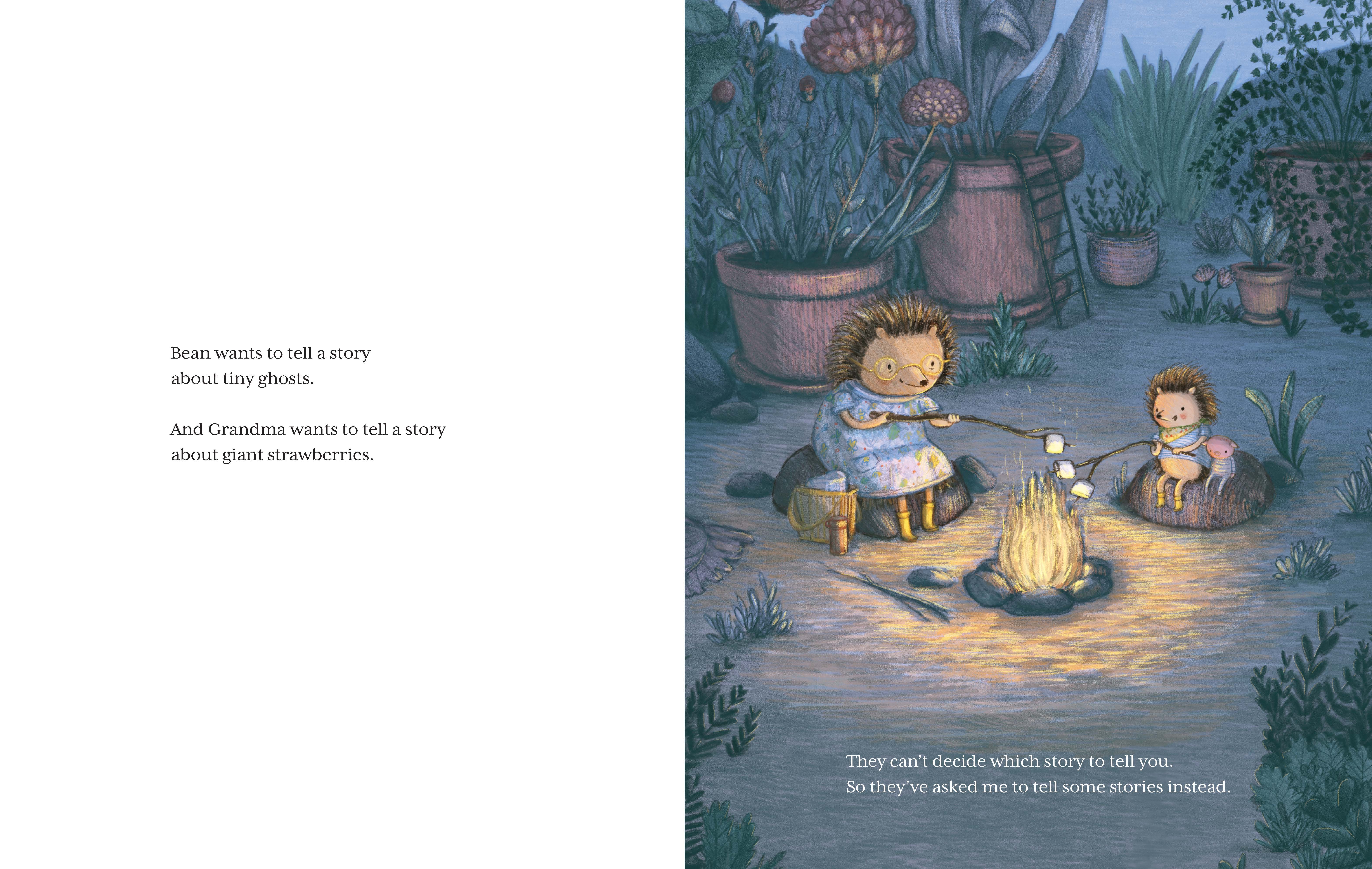additional book photo