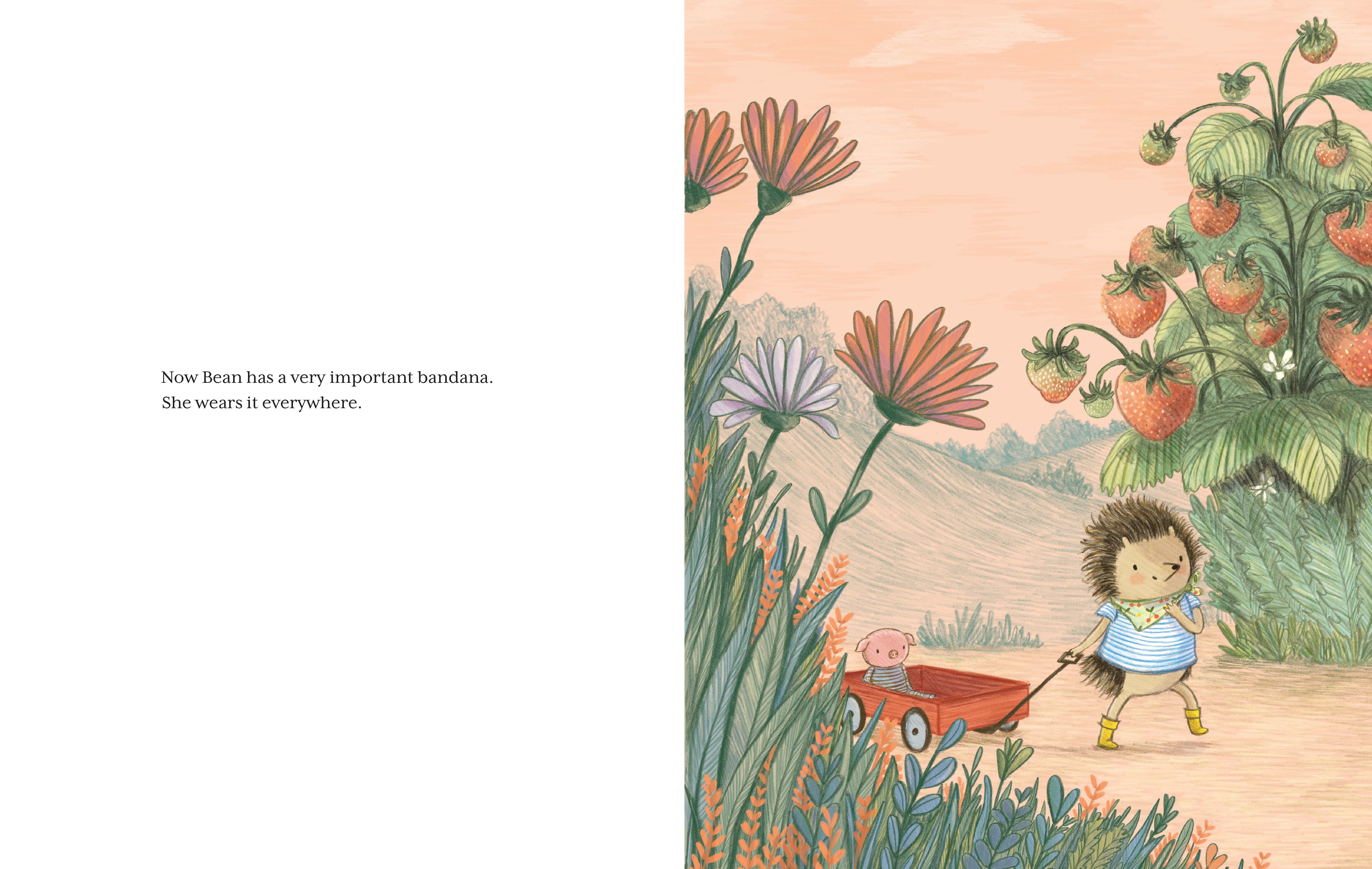 additional book photo