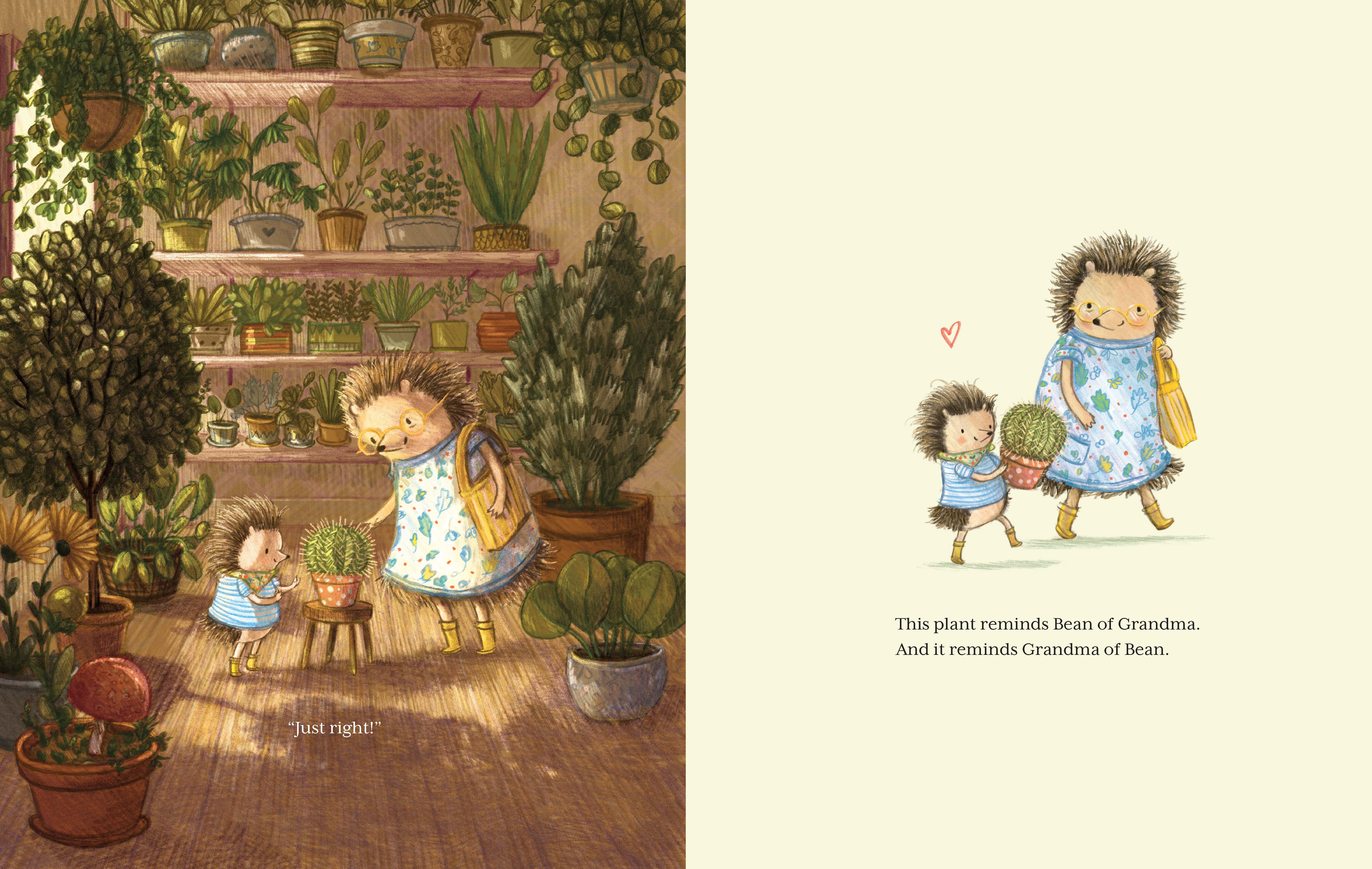 additional book photo