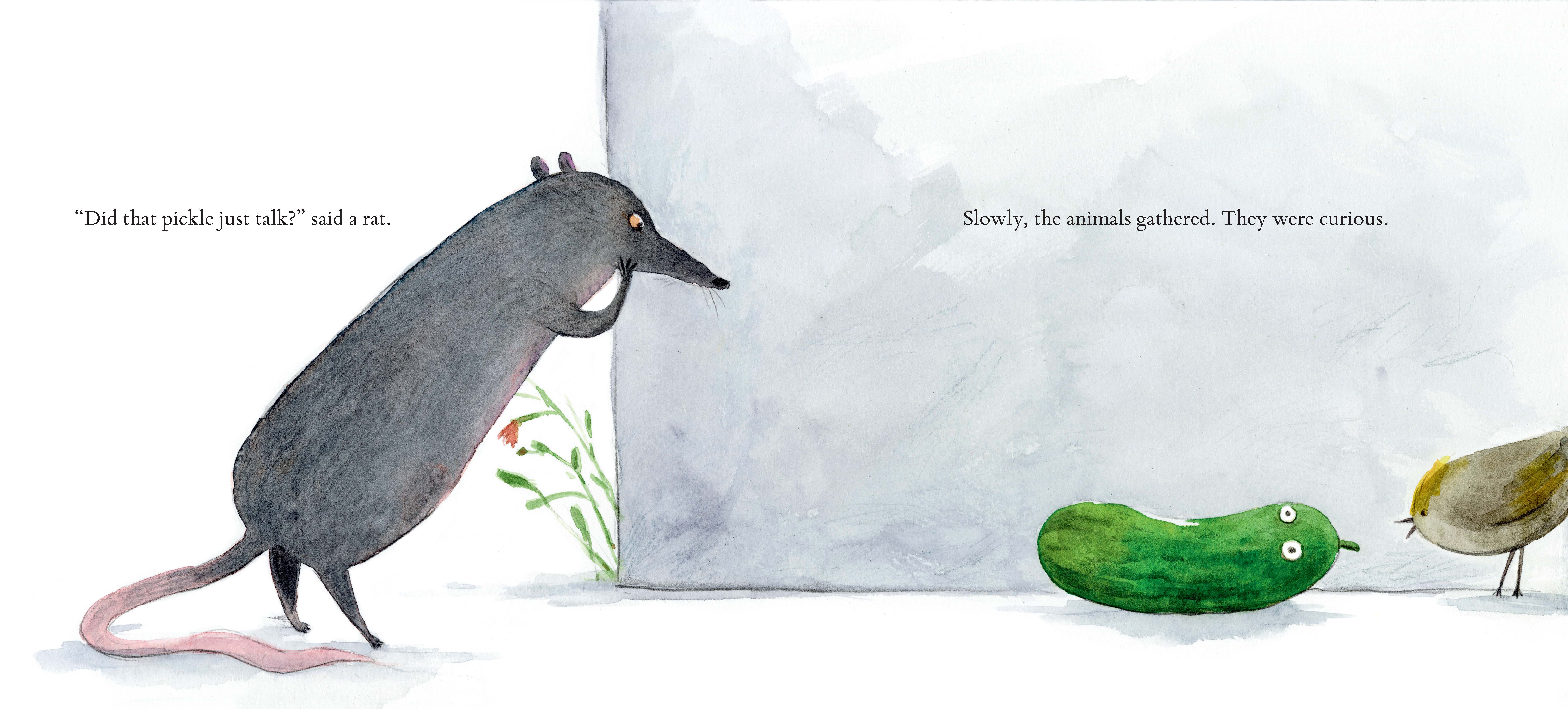 additional book photo