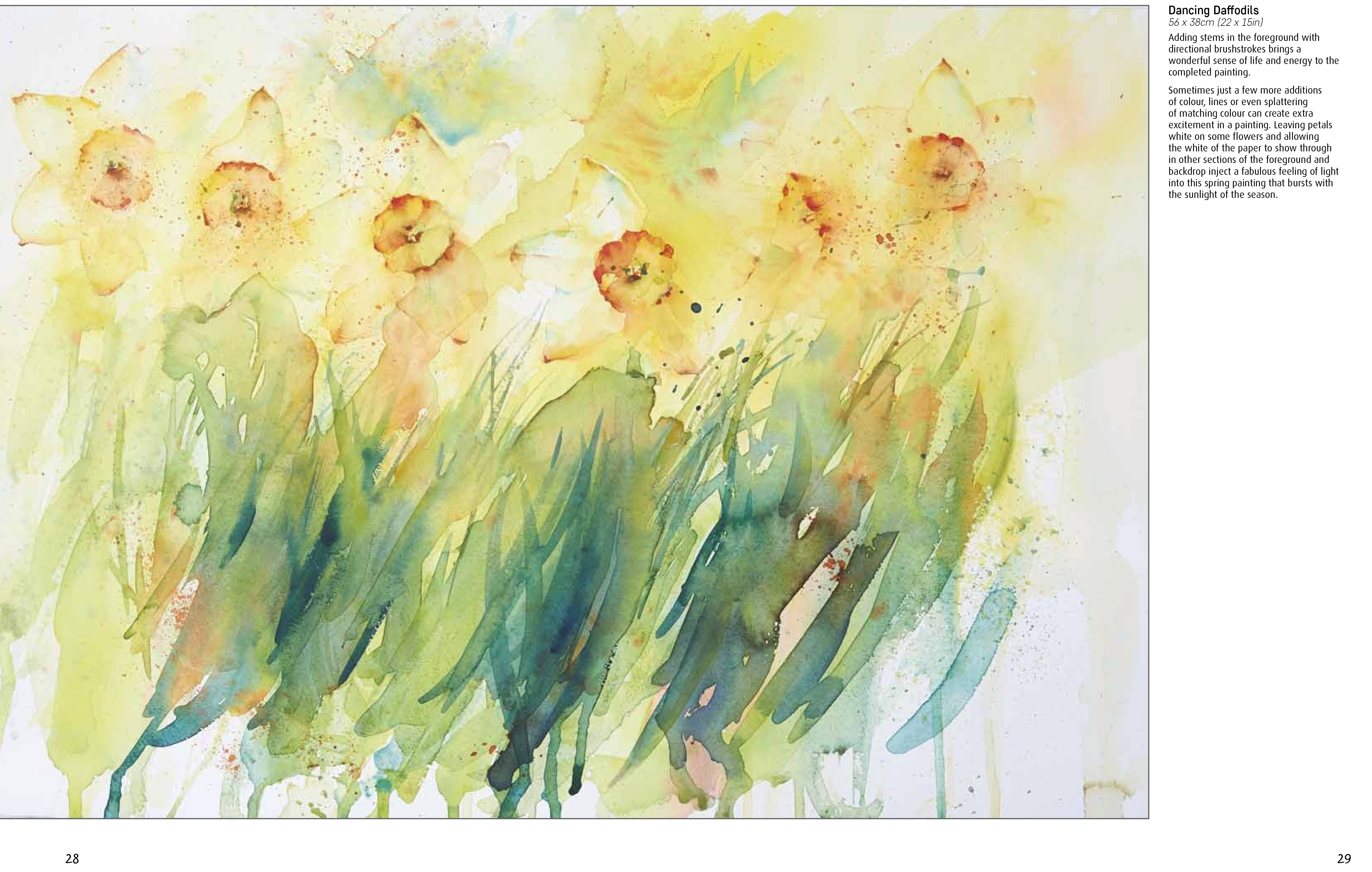 additional book photo