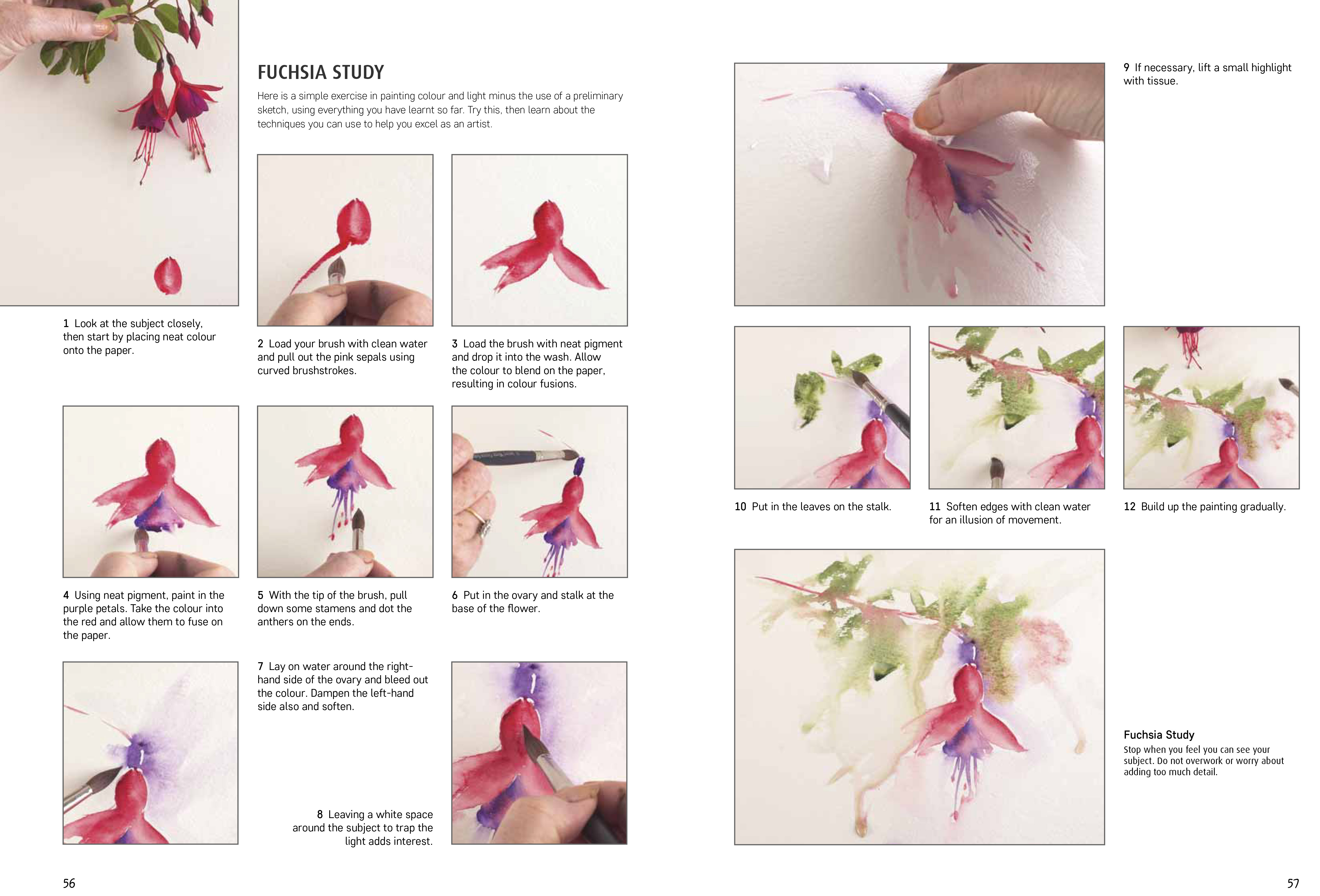 additional book photo