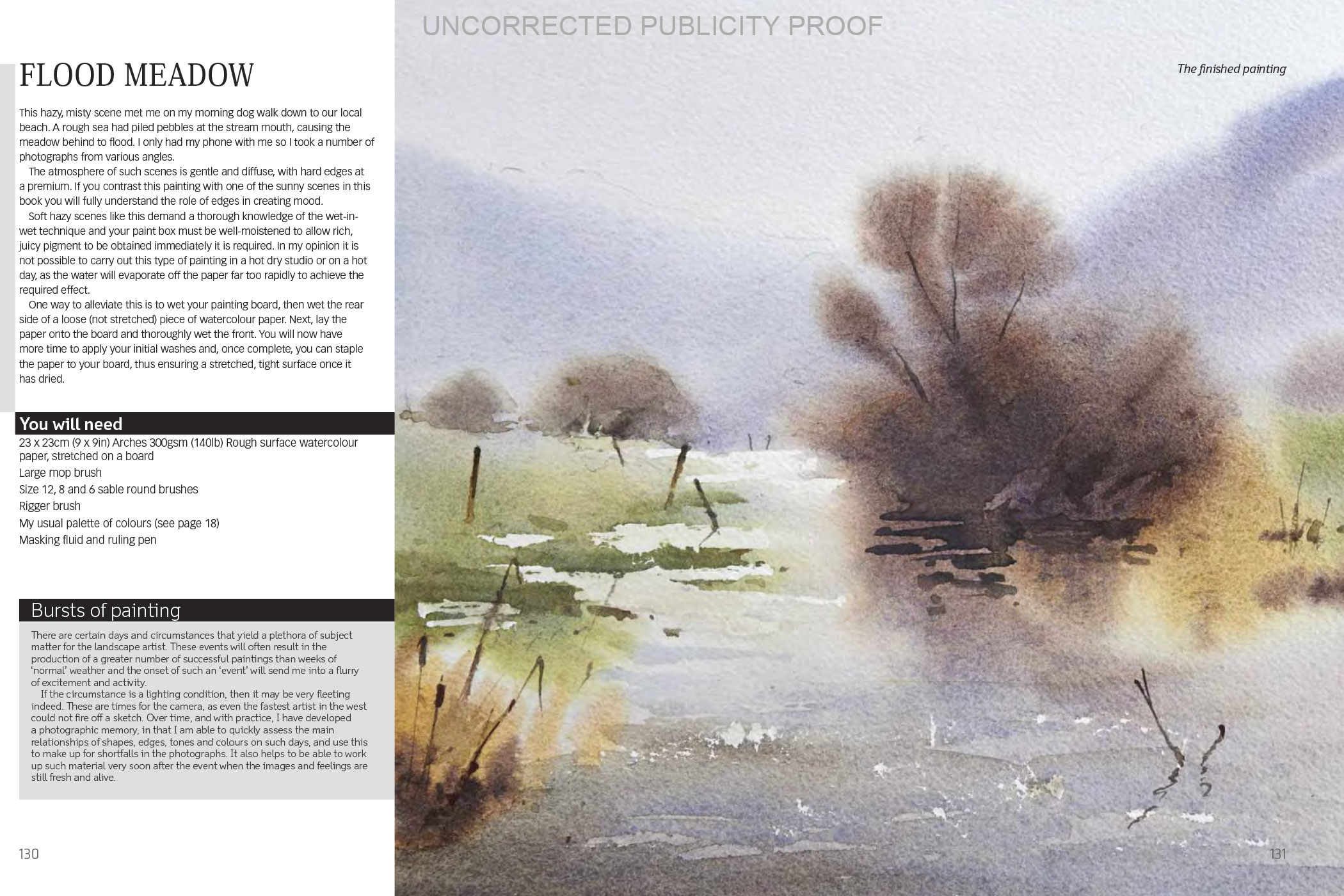 additional book photo