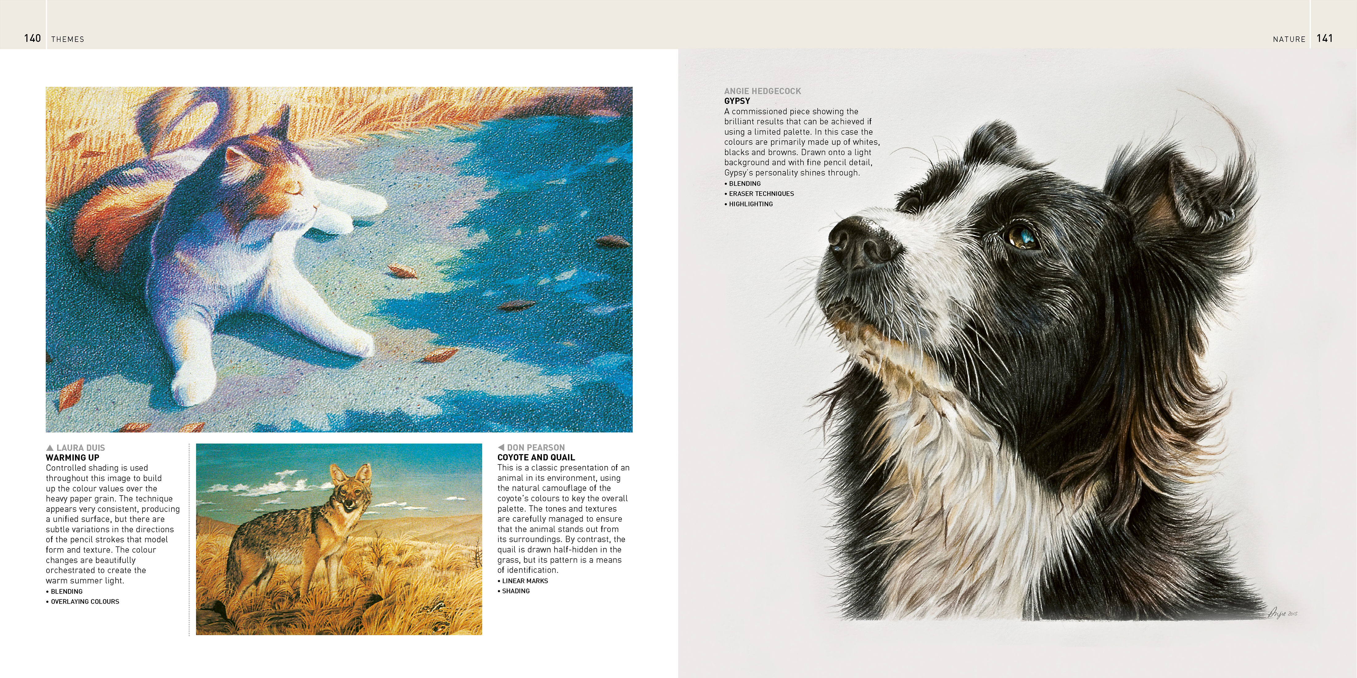 additional book photo