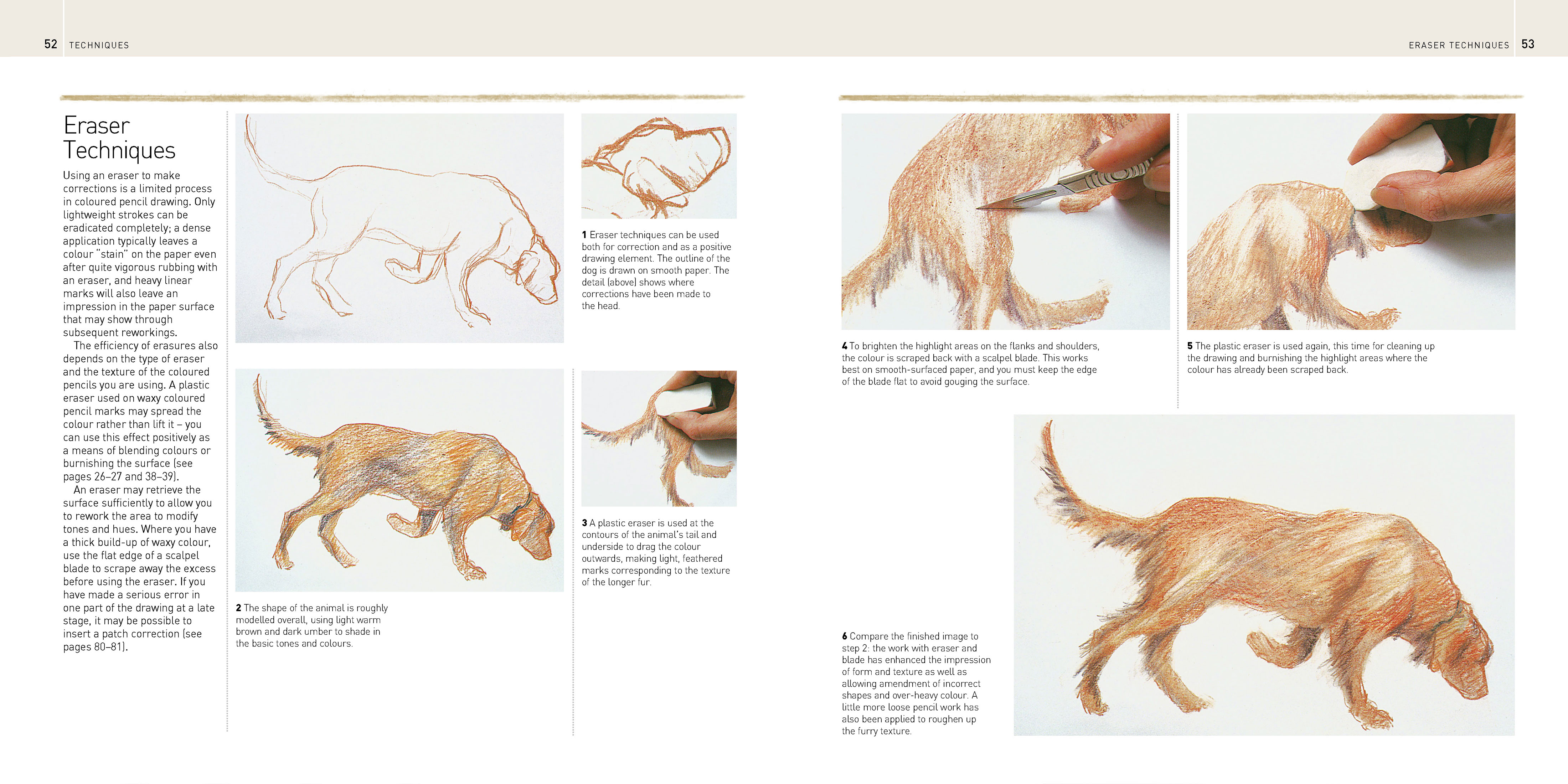 additional book photo