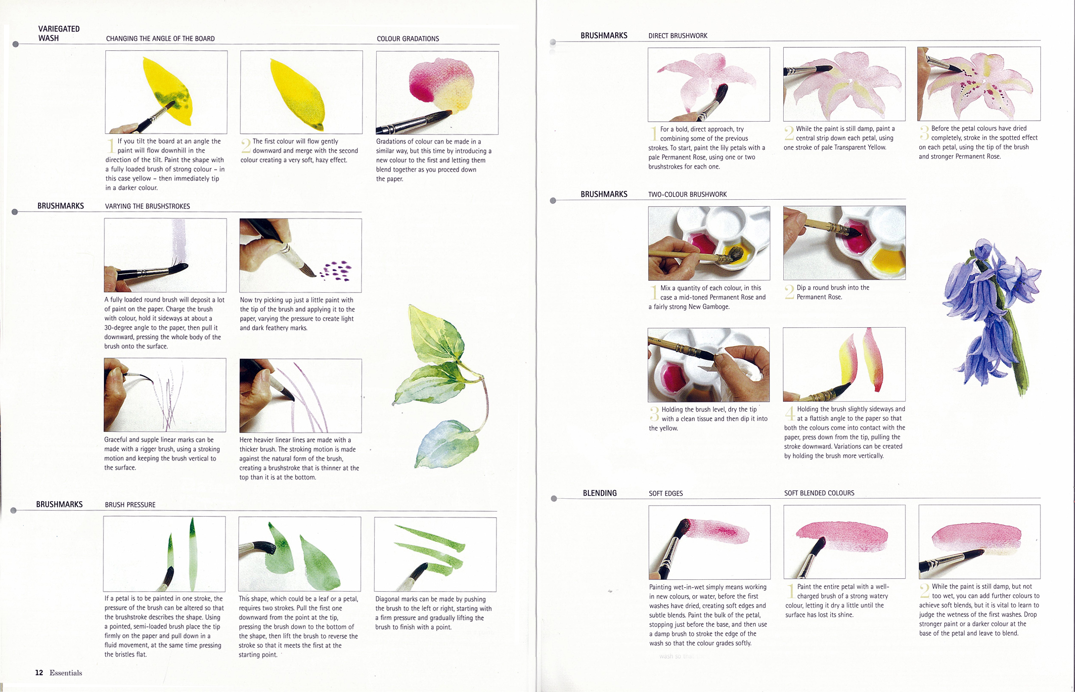 additional book photo