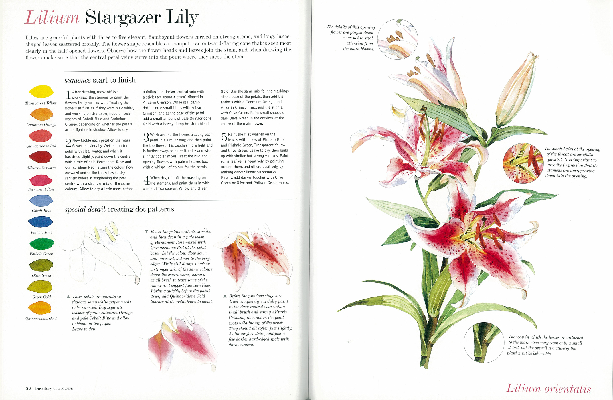 additional book photo