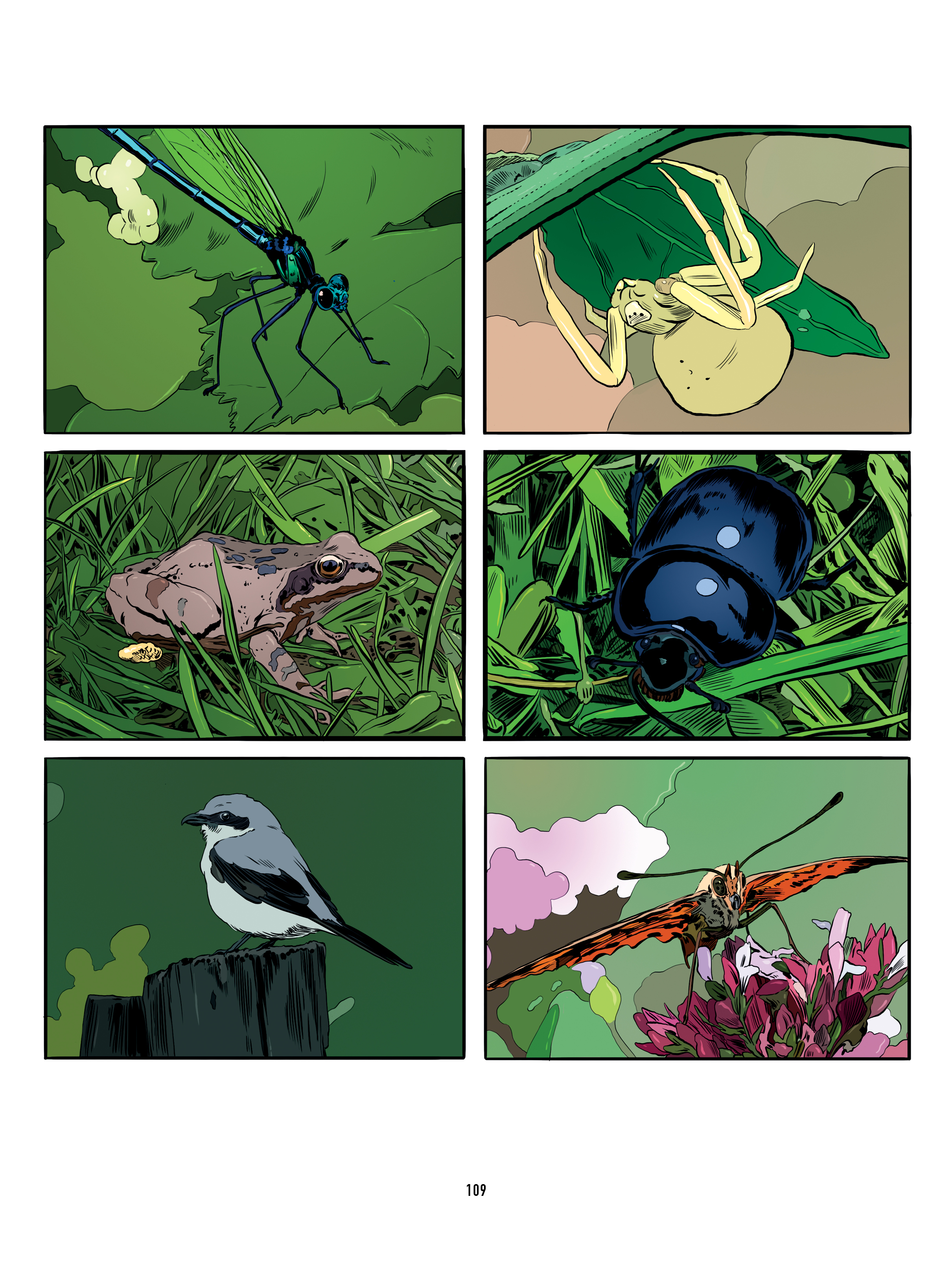 additional book photo