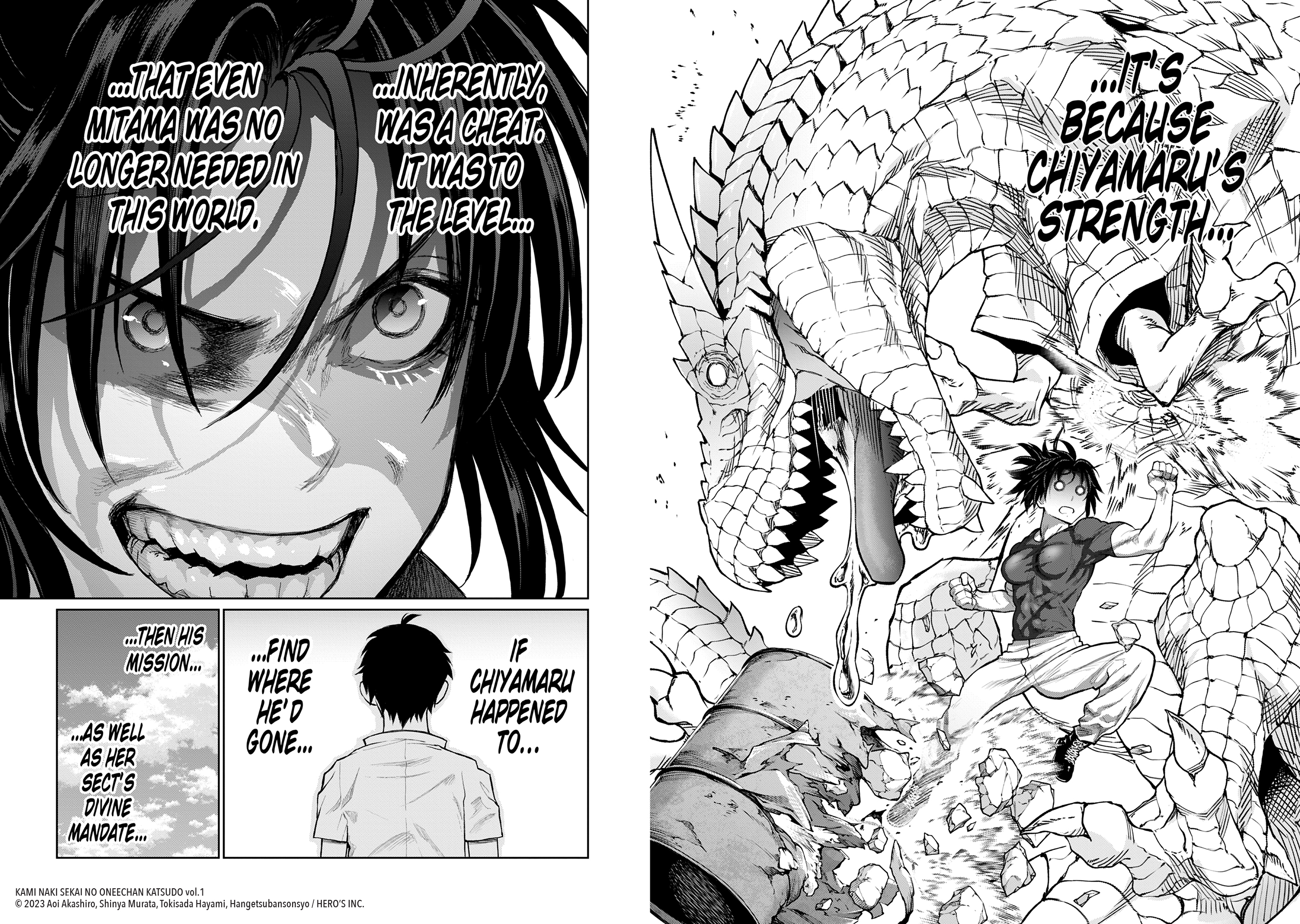 additional book photo