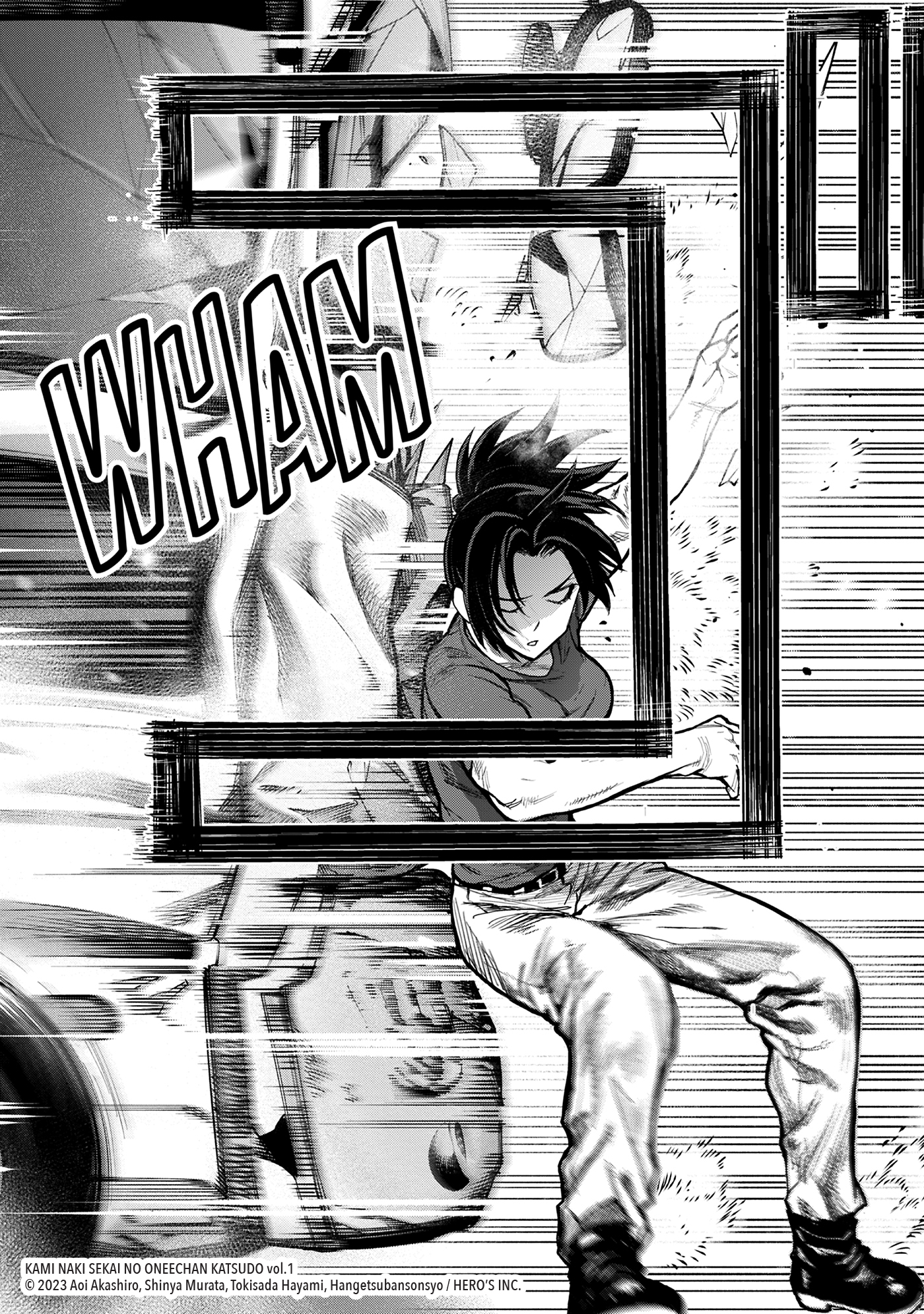 additional book photo