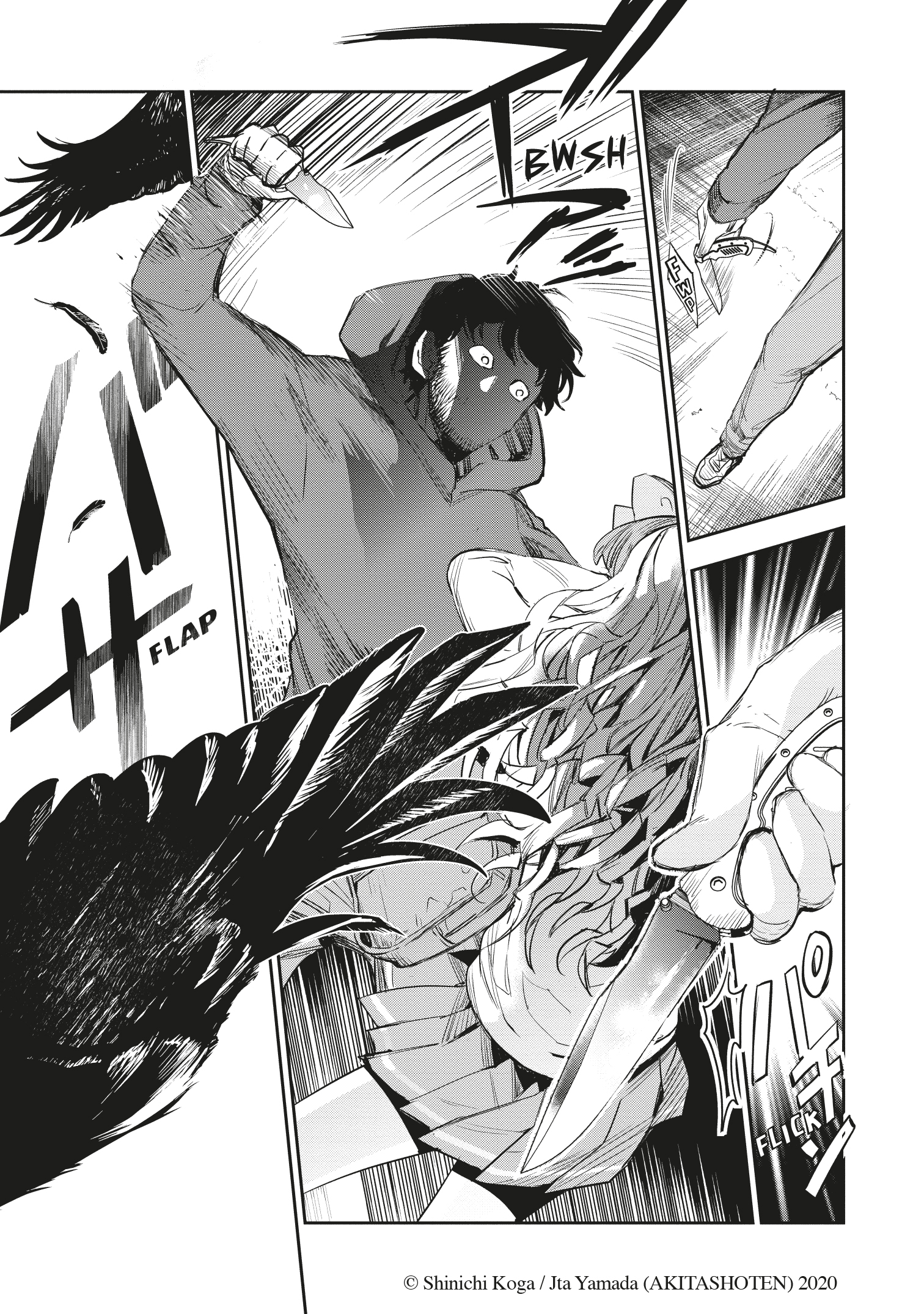 additional book photo