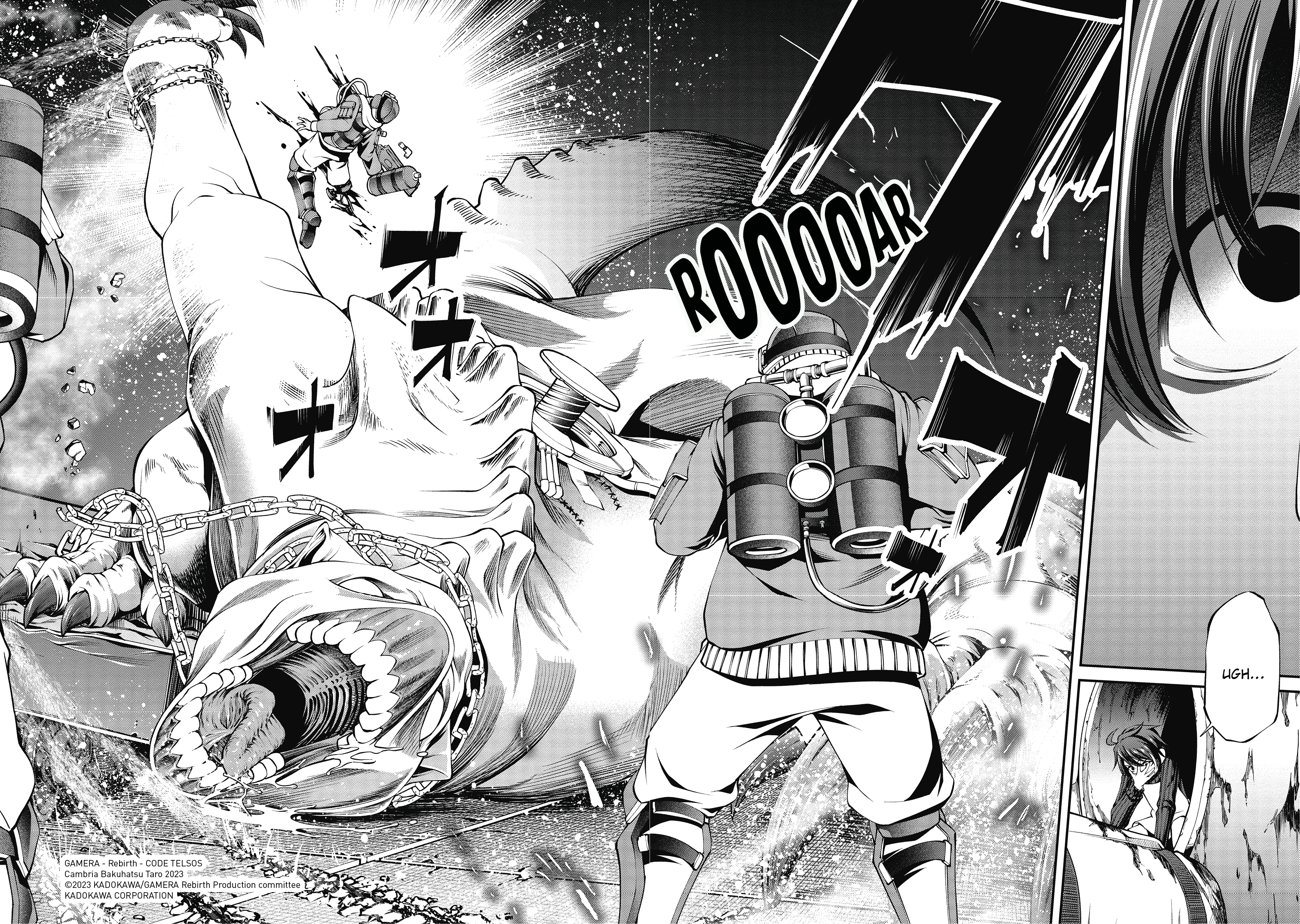 additional book photo