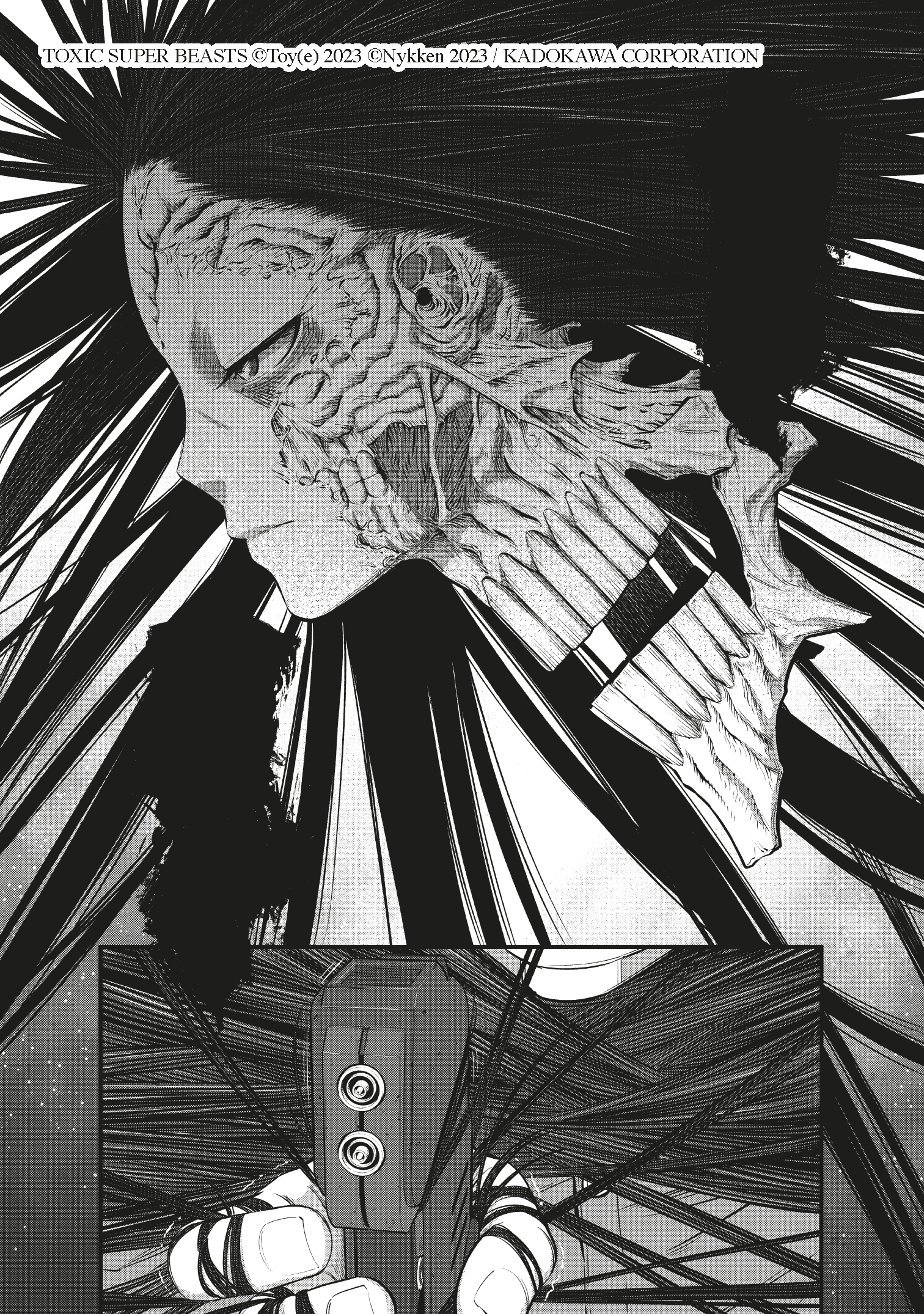 additional book photo