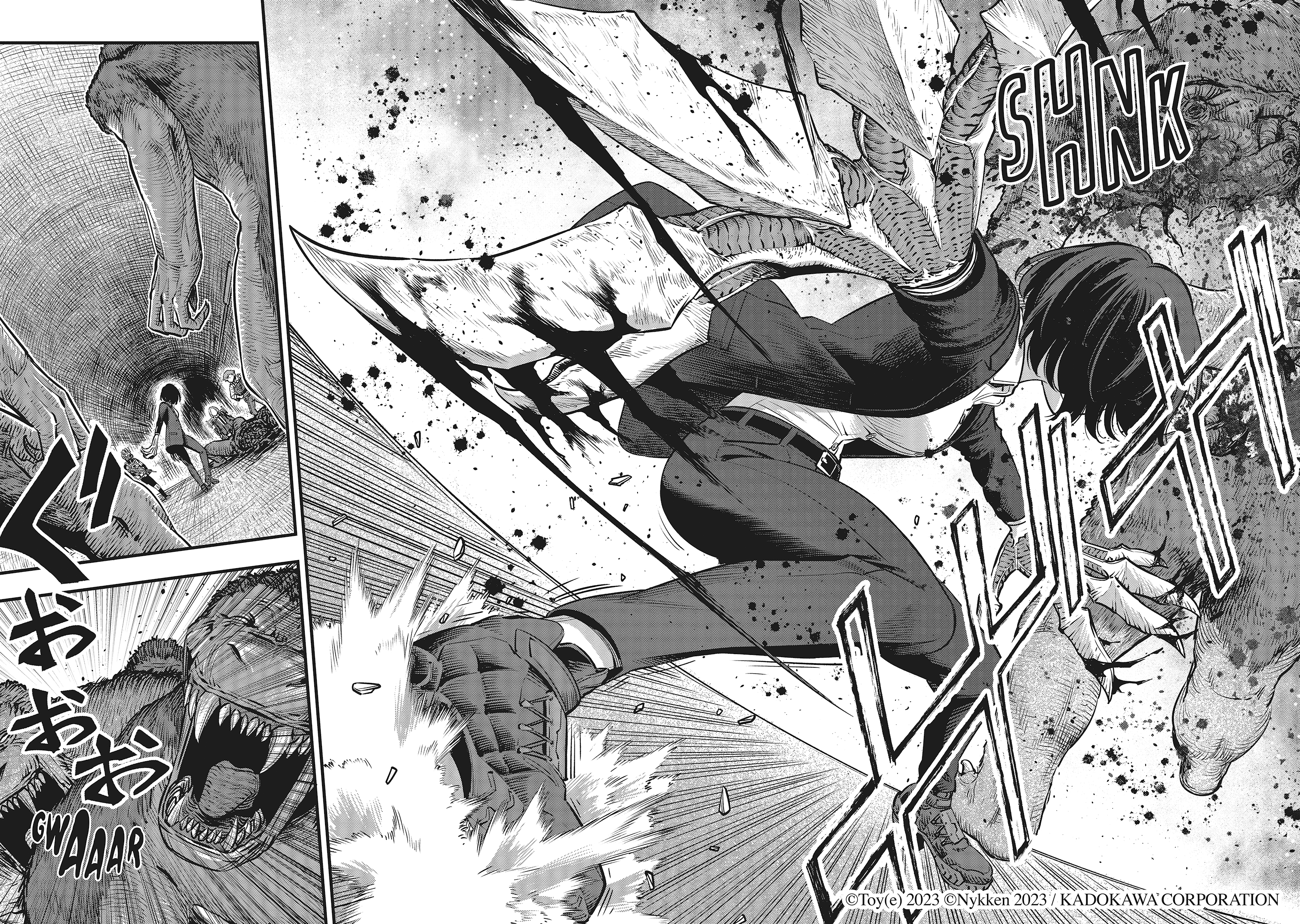 additional book photo