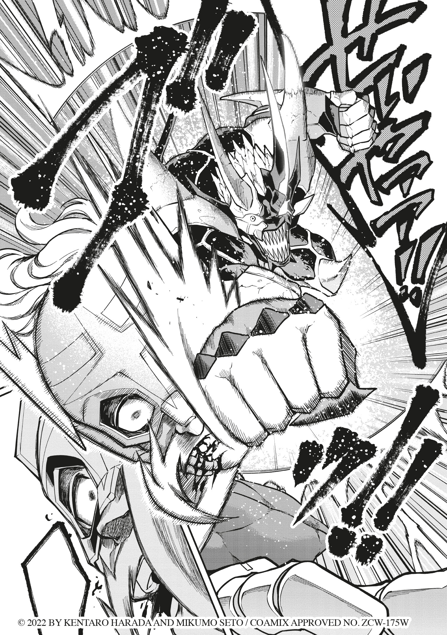 additional book photo