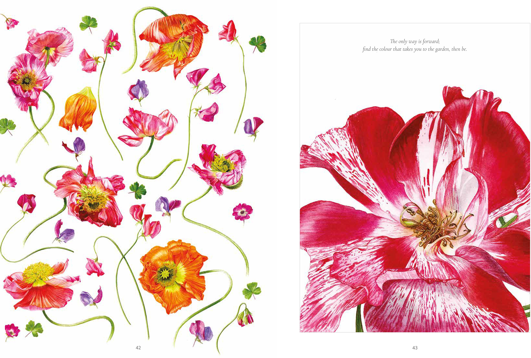 Sample spread