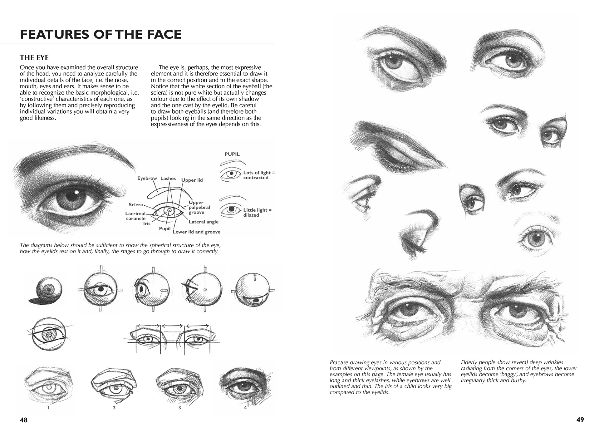 Sample spread