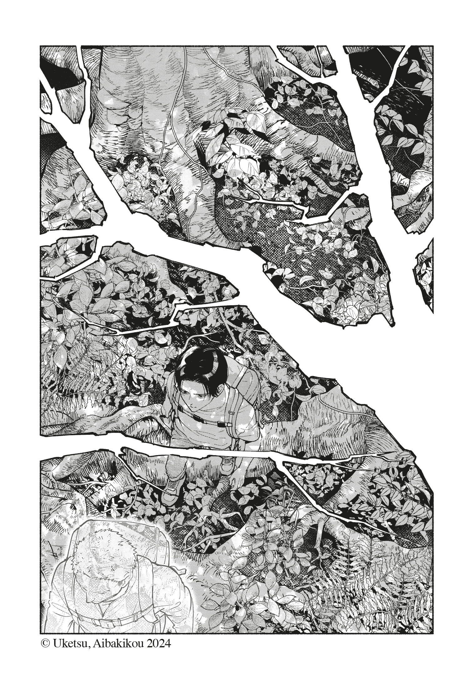additional book photo