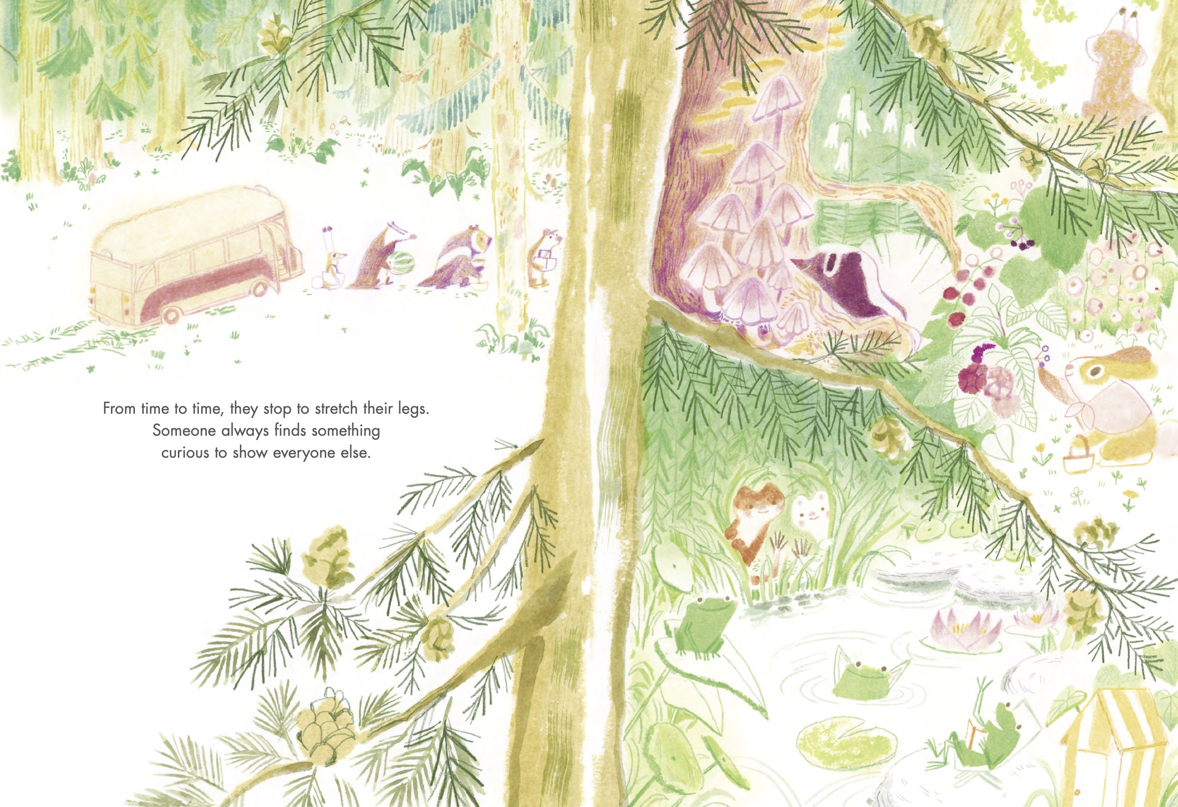 additional book photo