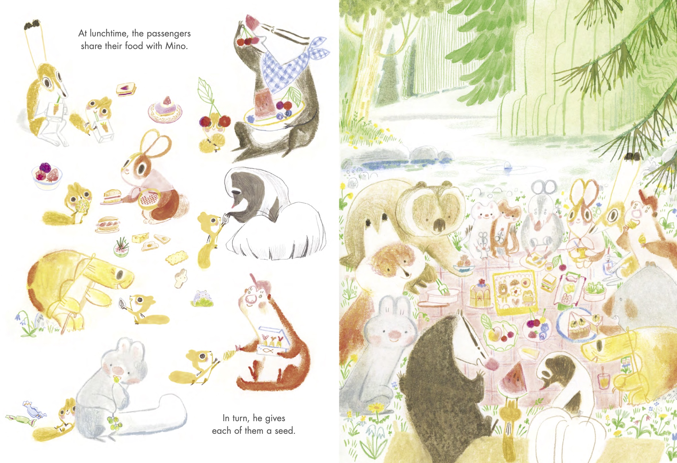additional book photo