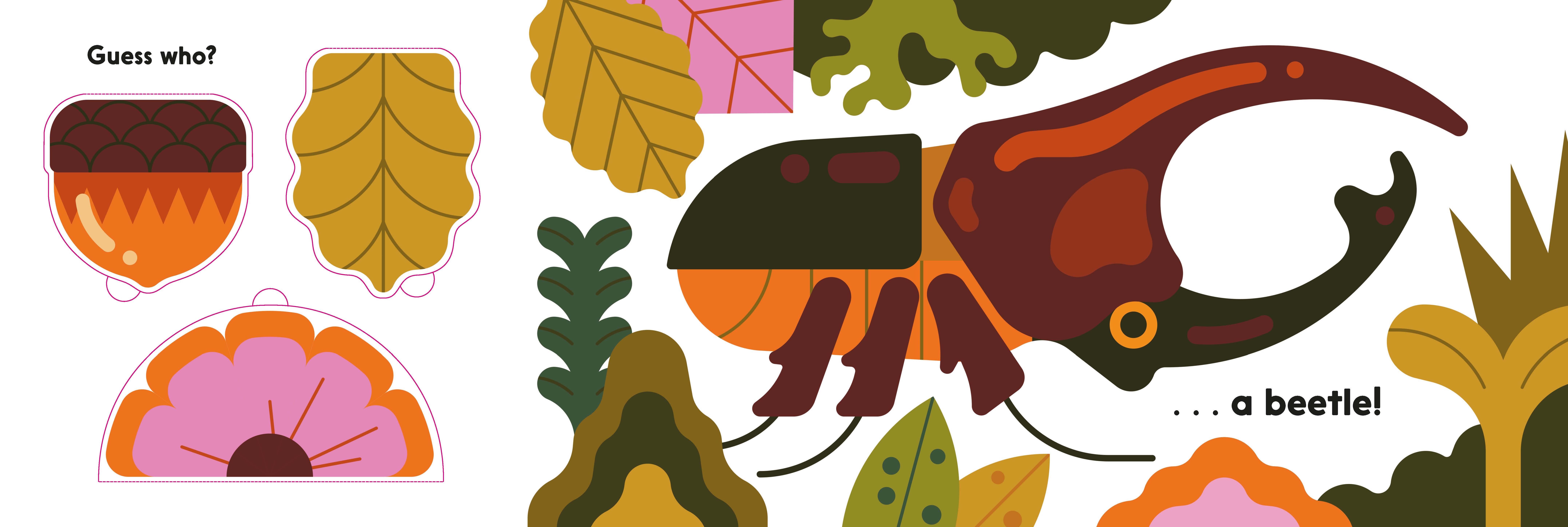 additional book photo