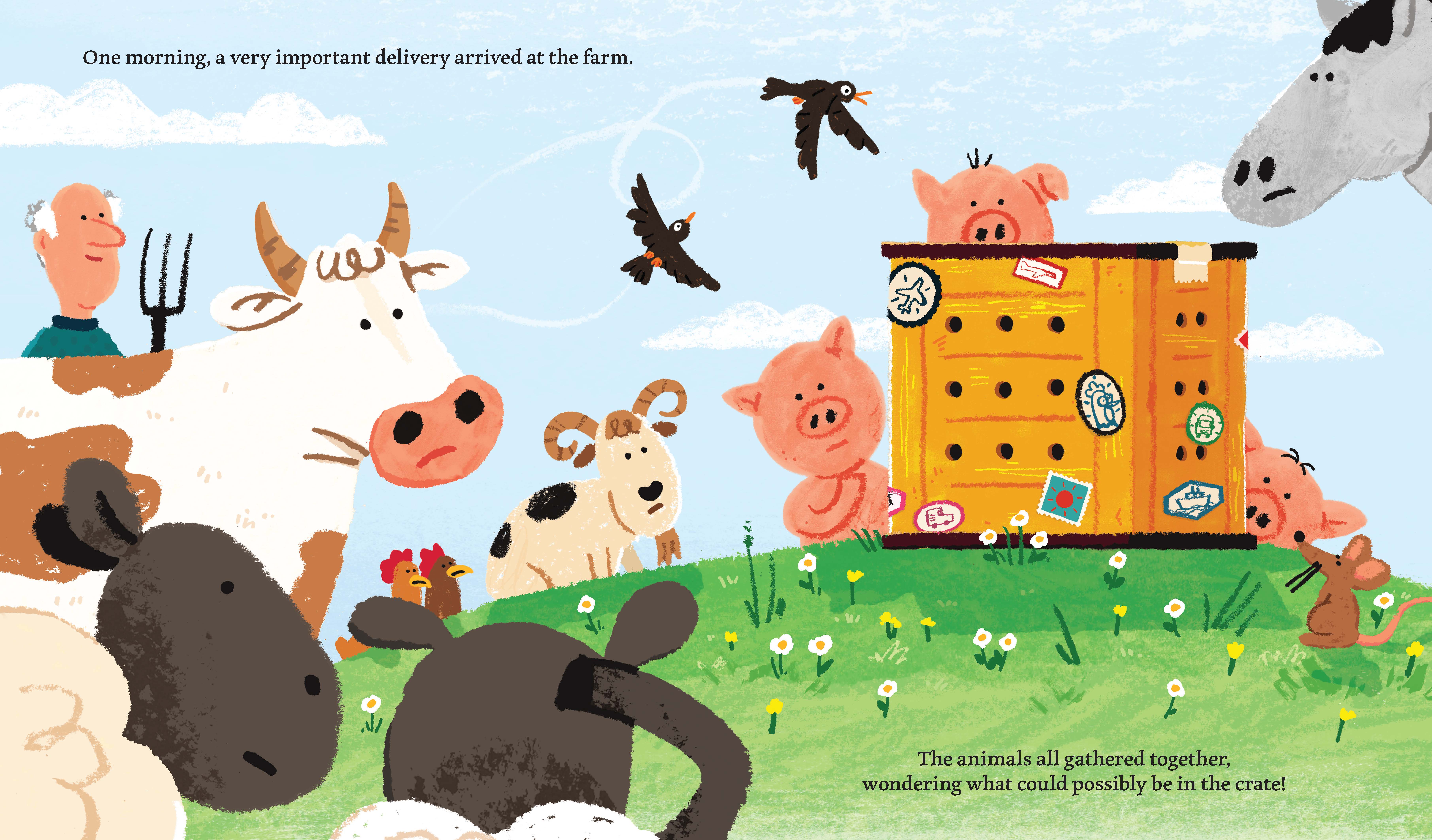 additional book photo