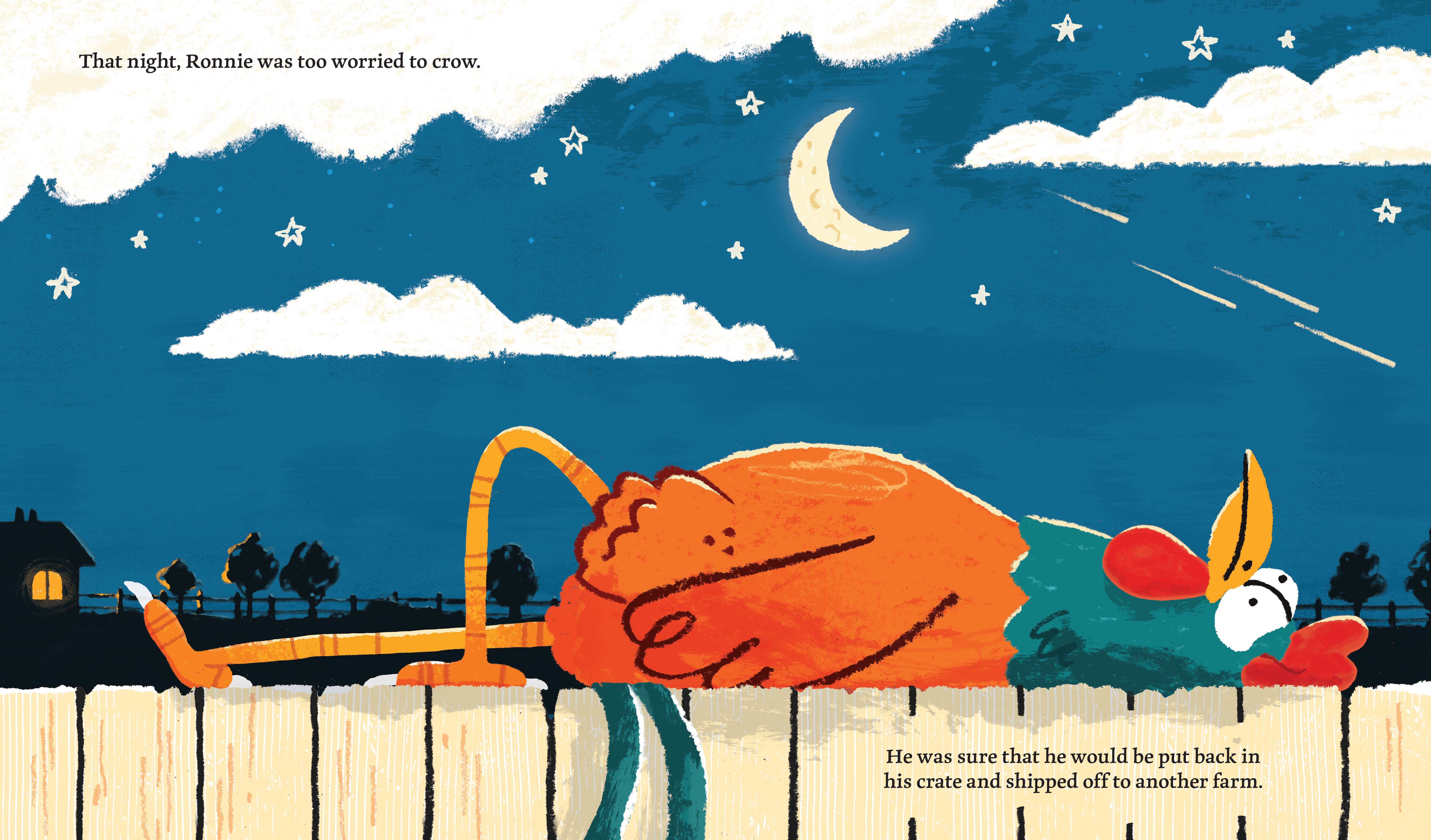 additional book photo