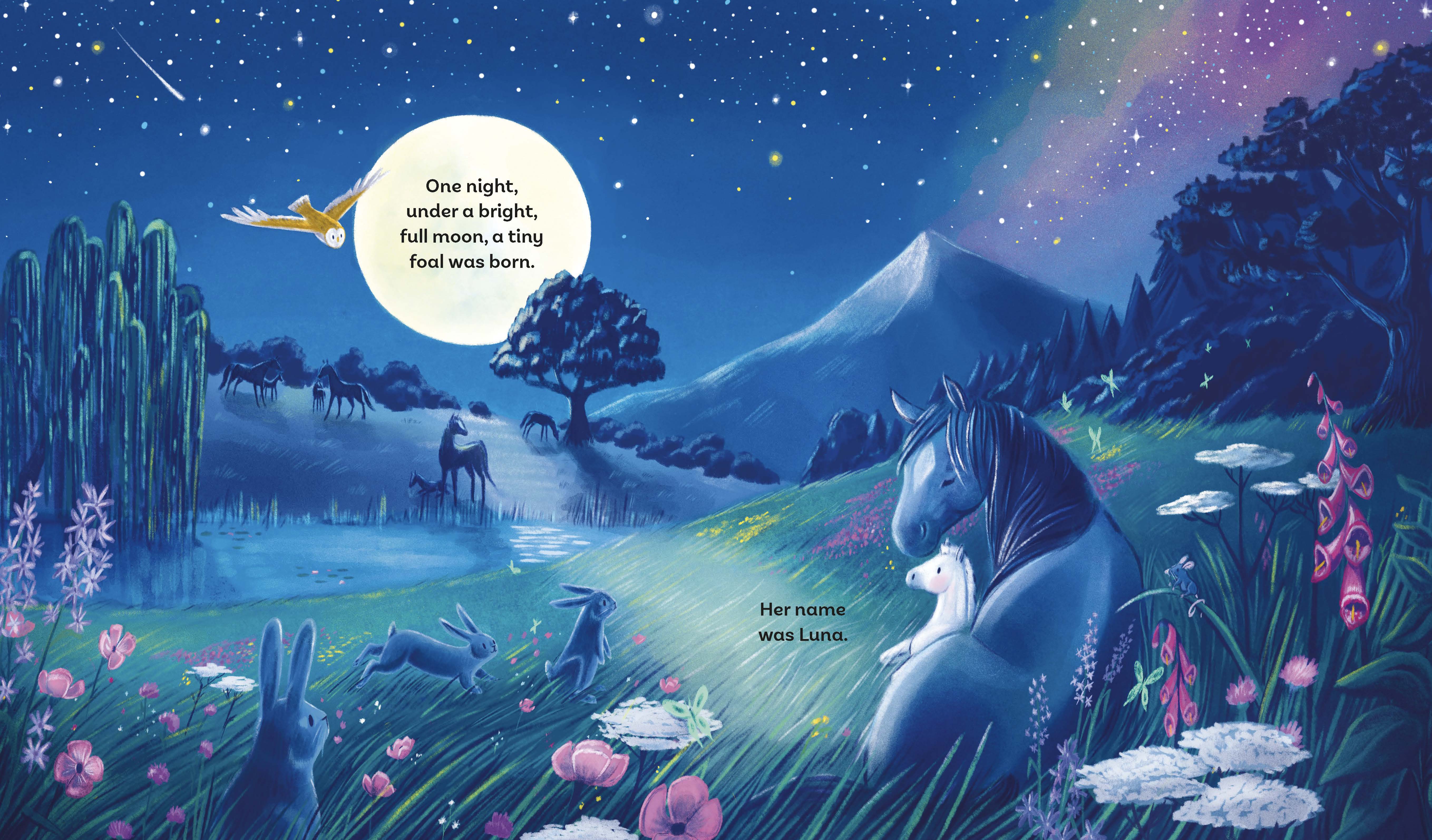 additional book photo