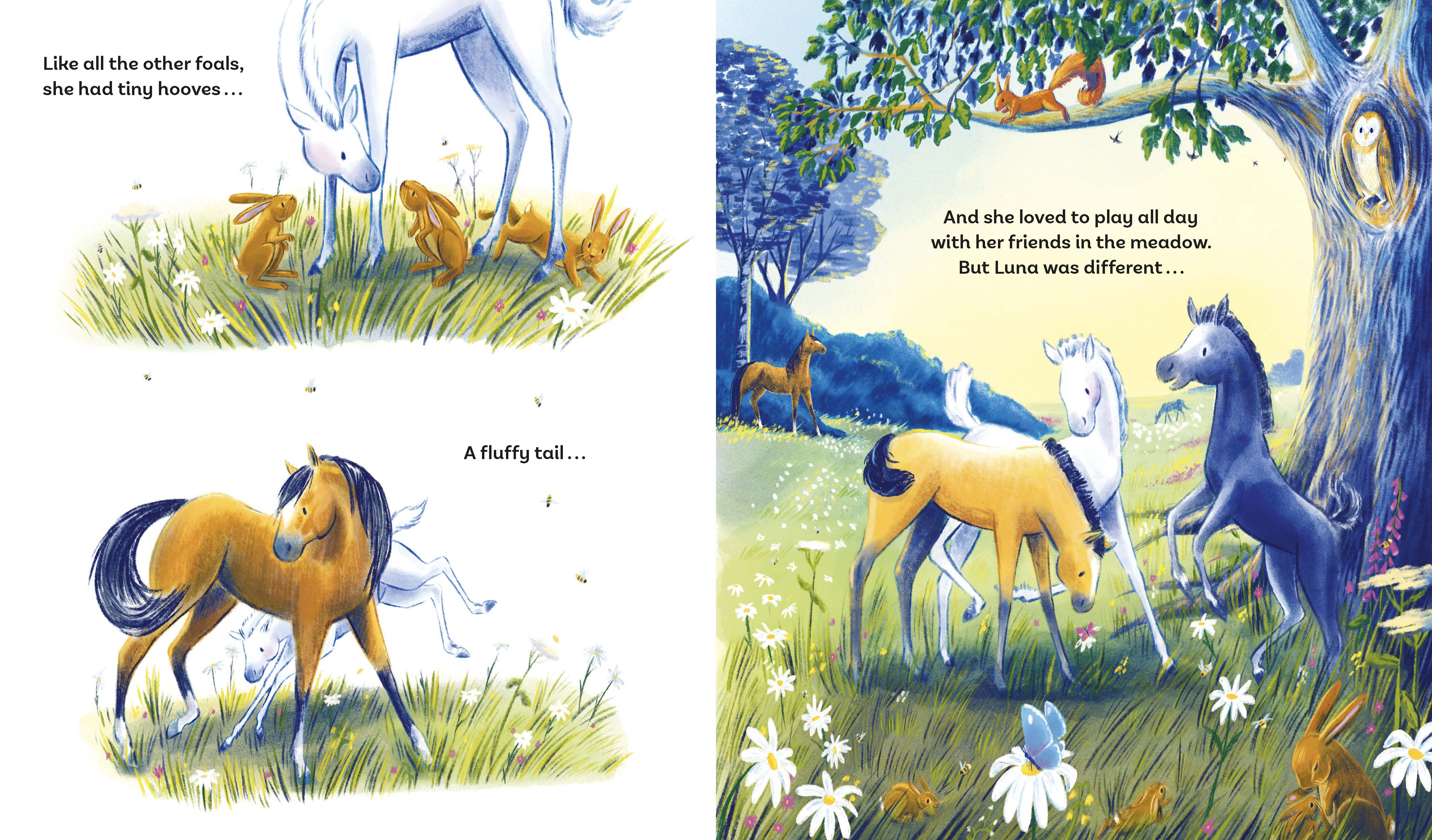 additional book photo