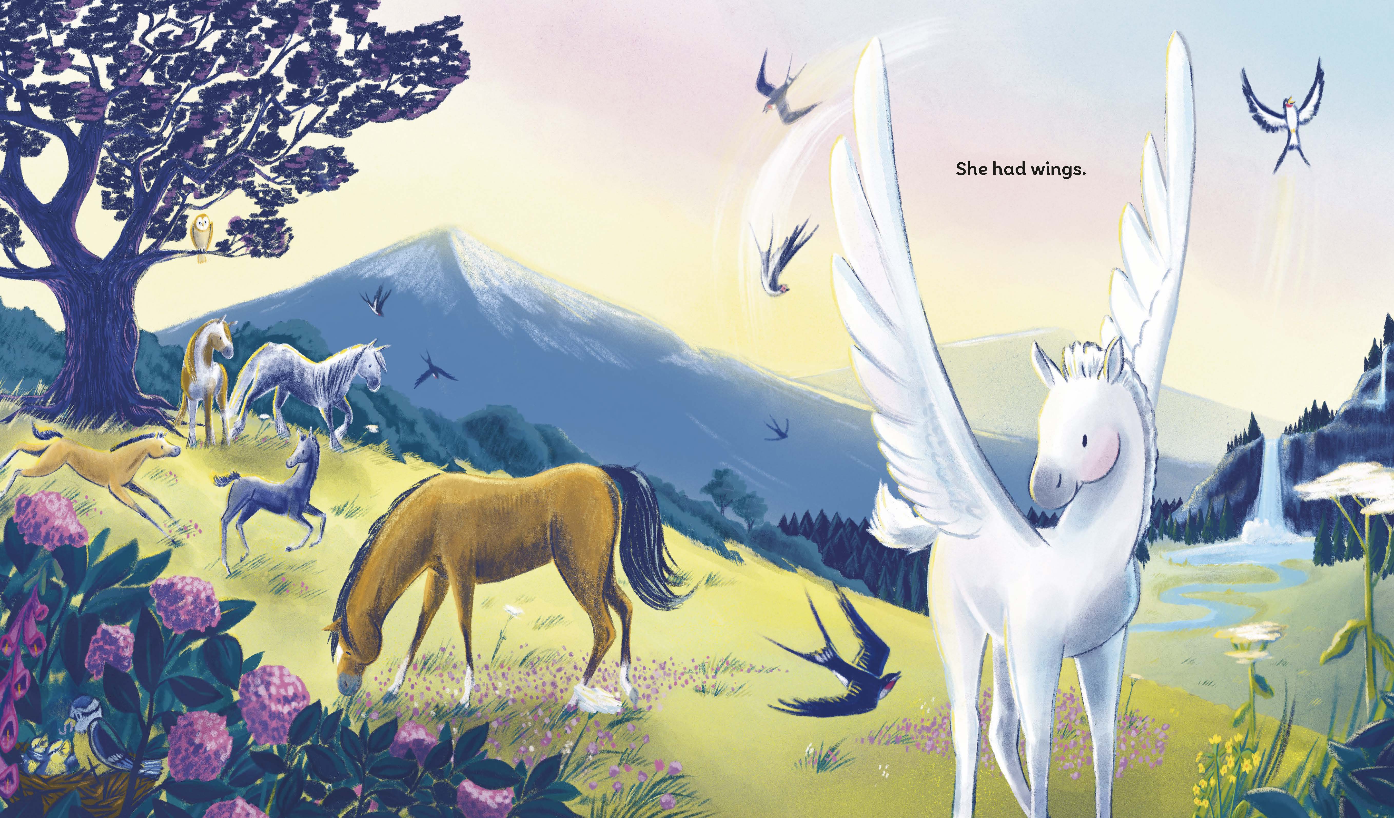 additional book photo