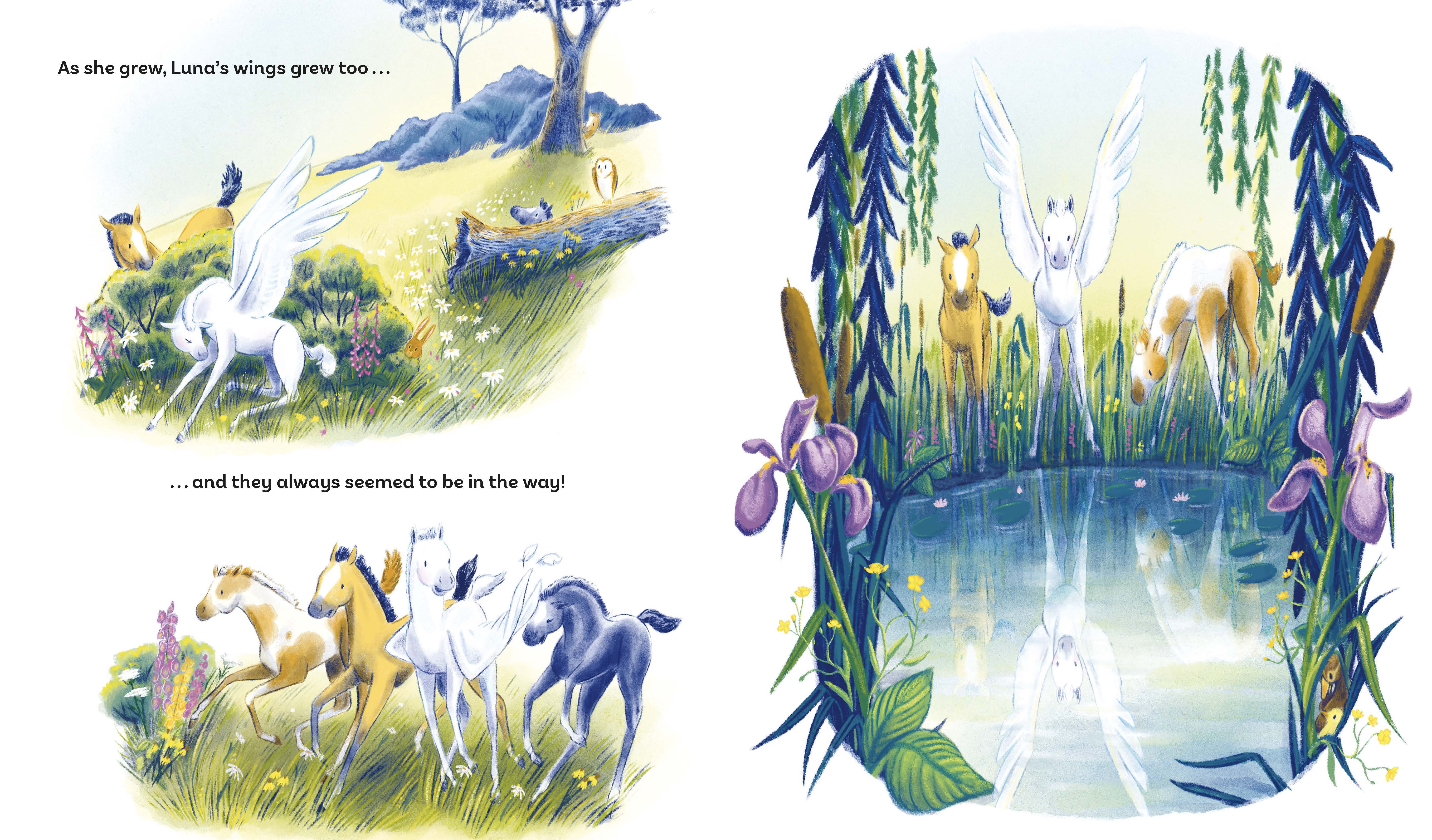 additional book photo